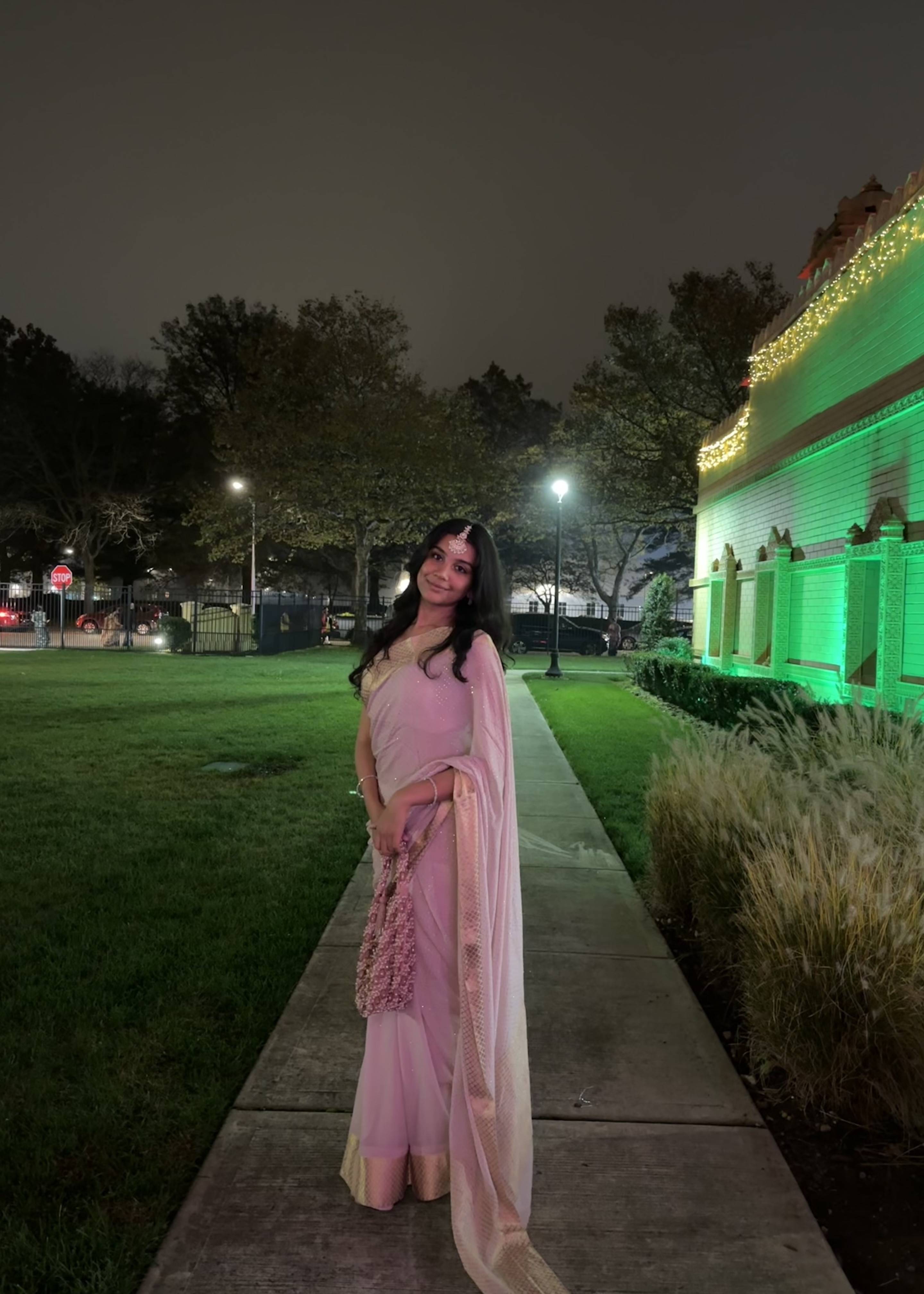 Pink Crystal Sari Image - 4