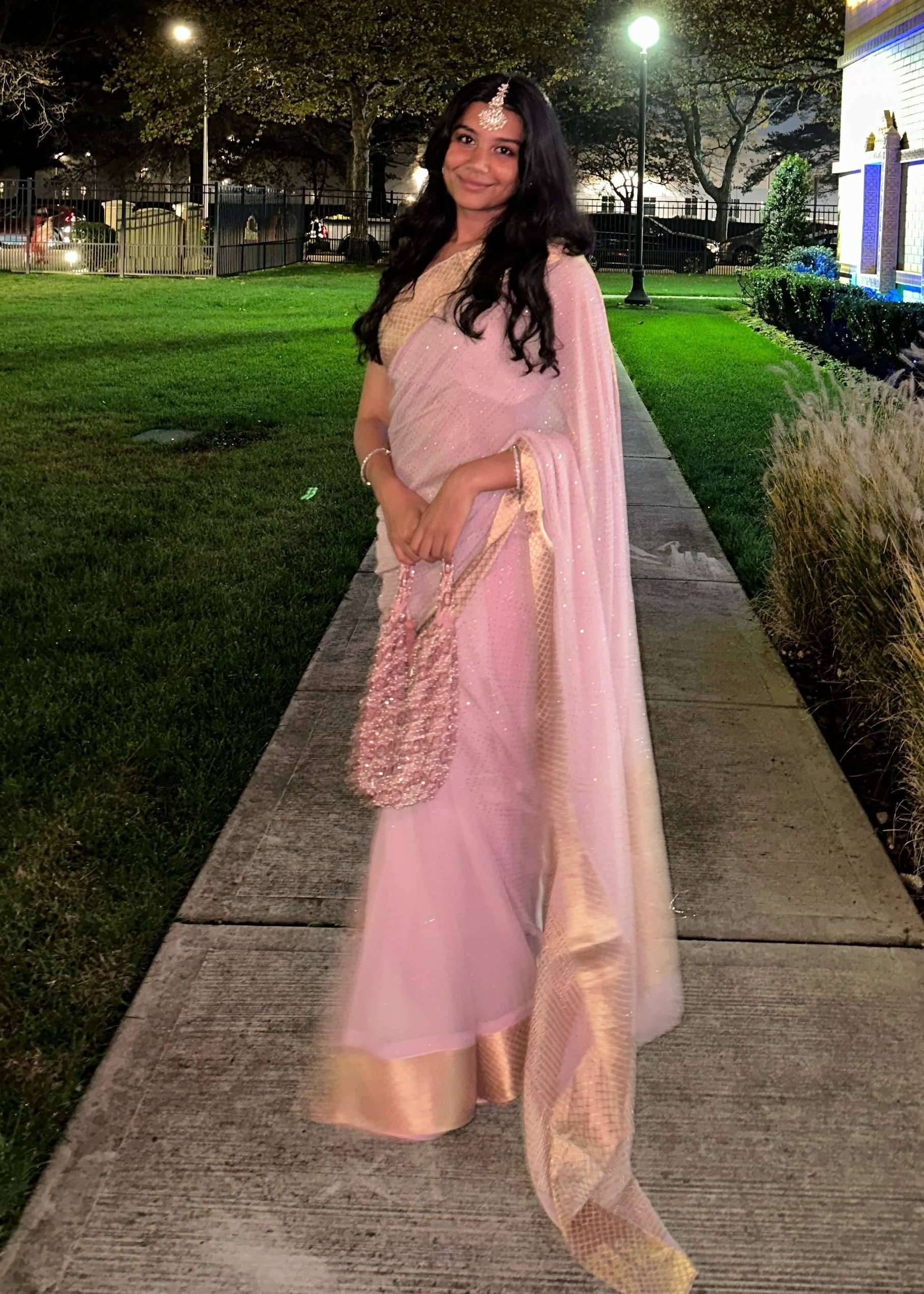 Pink Crystal Sari Image - 0