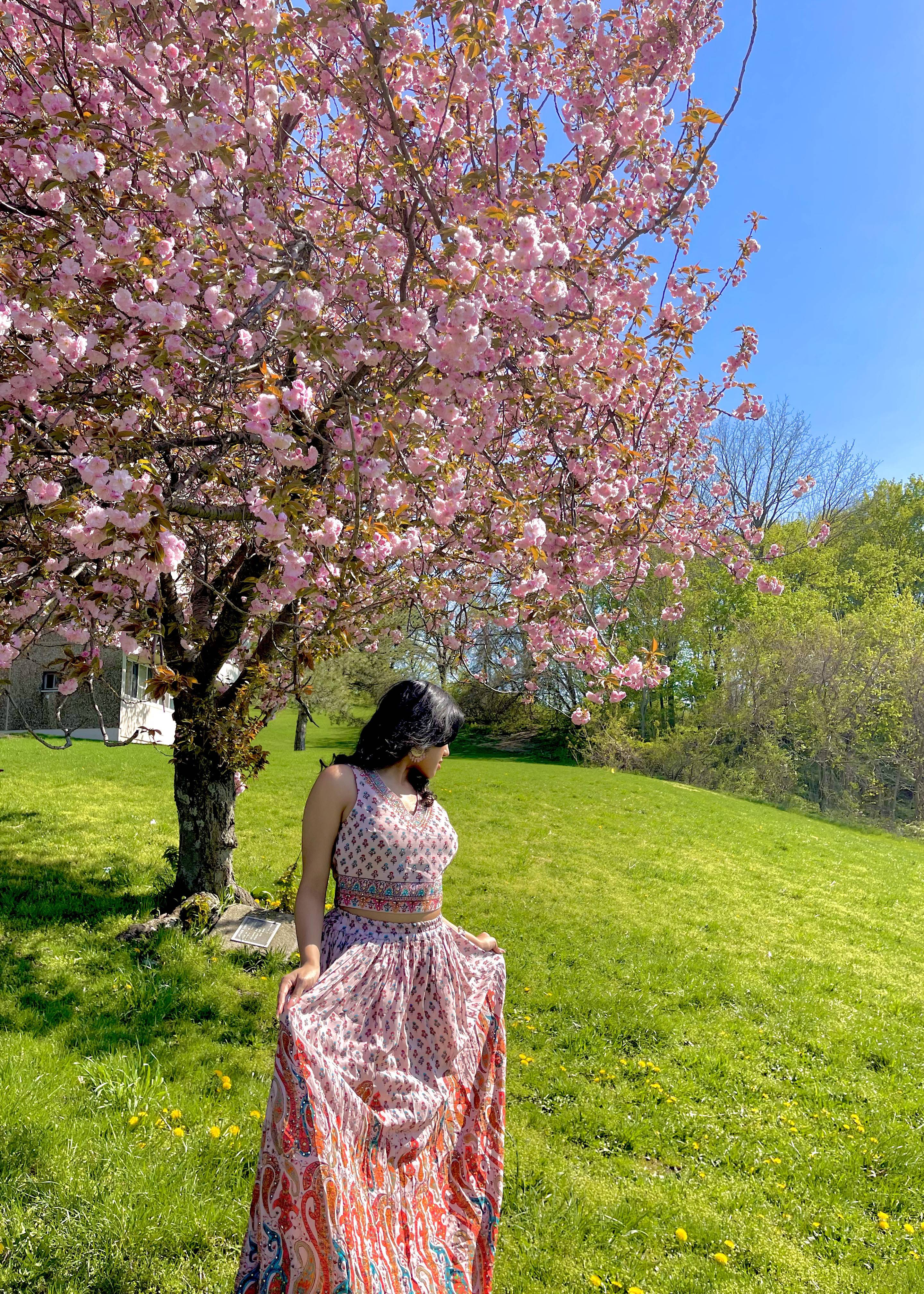 Pink Printed Lehenga Set Image - 5