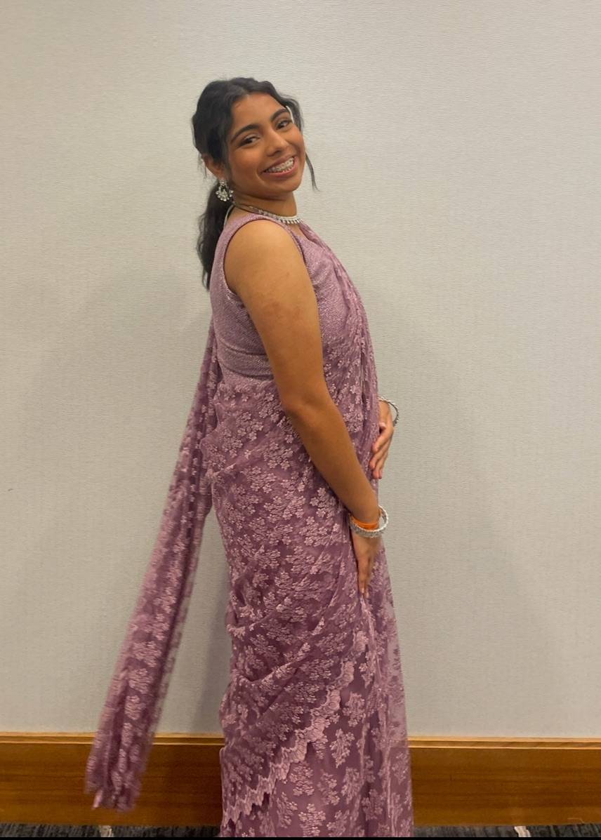 Lavender Lace Sari Image - 2