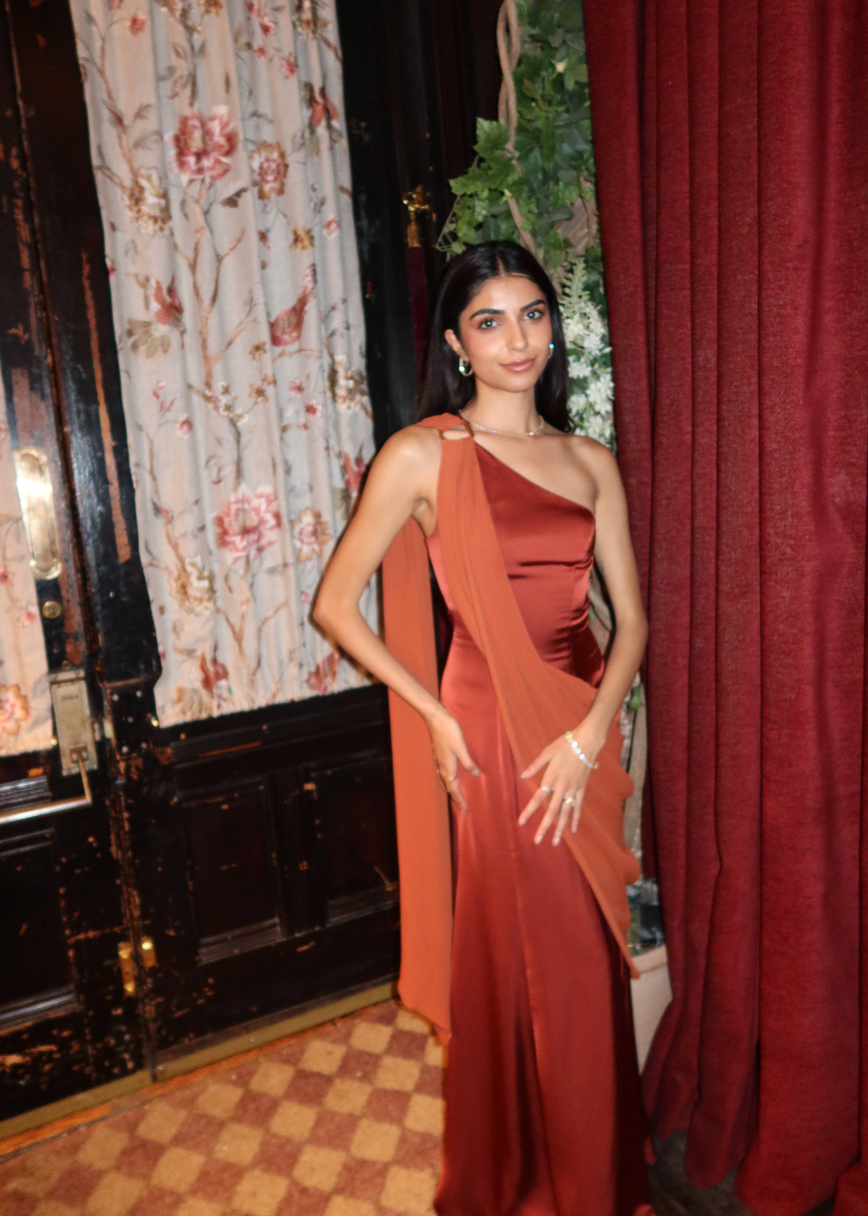 UNAVAILABLE - Terracotta Amara Sari Gown Image - 3