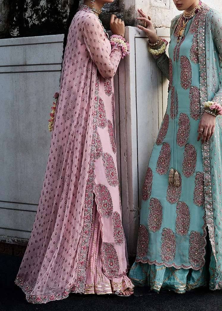 Powder Pink Sharara Image - 3