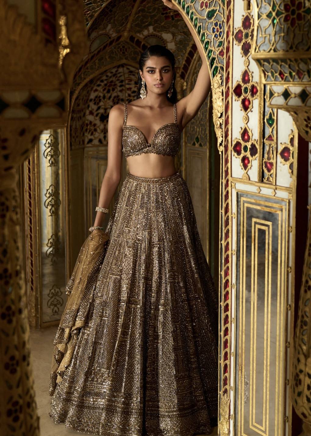 Bronze Embellished Lehenga Image - 0