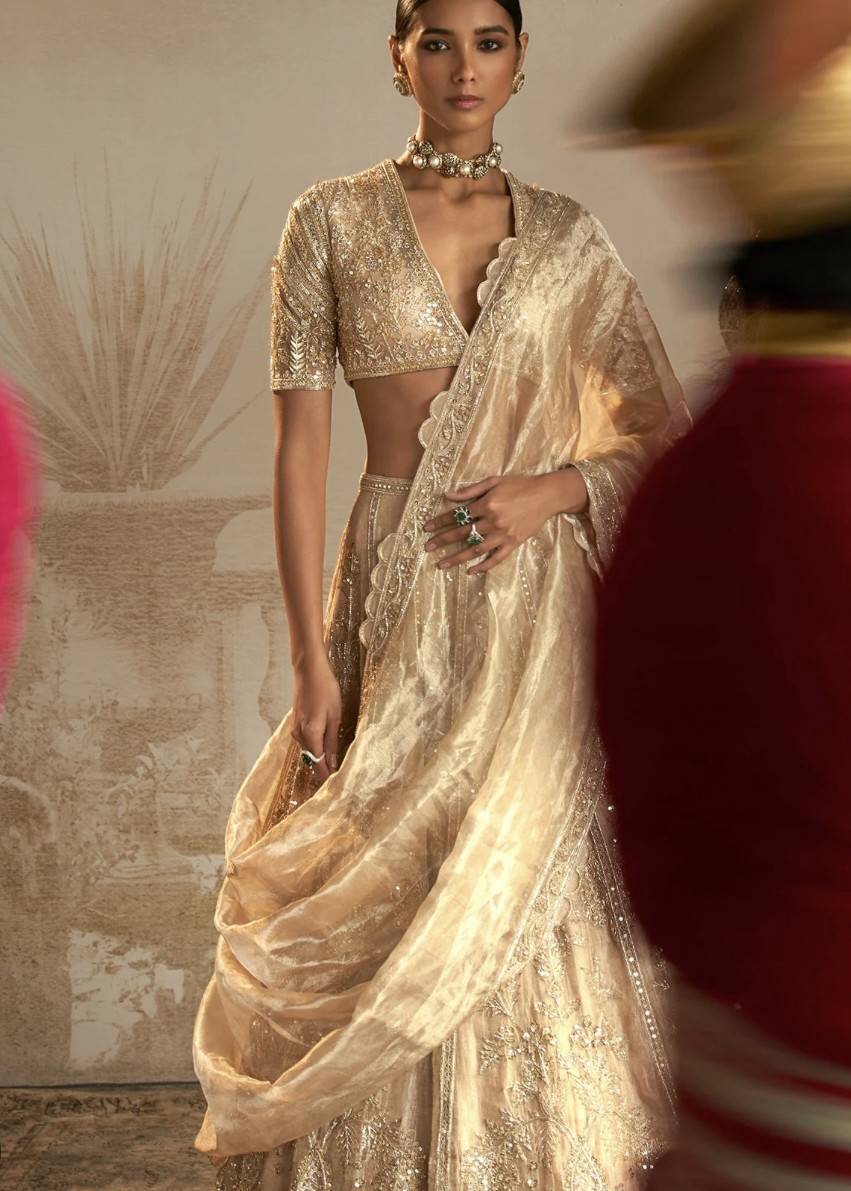 Swarn Lehenga Image - 3