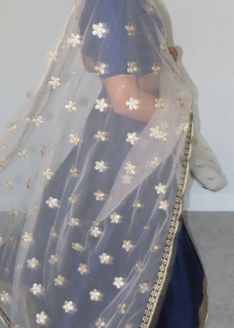 Royal Blue Lehenga Image - 6