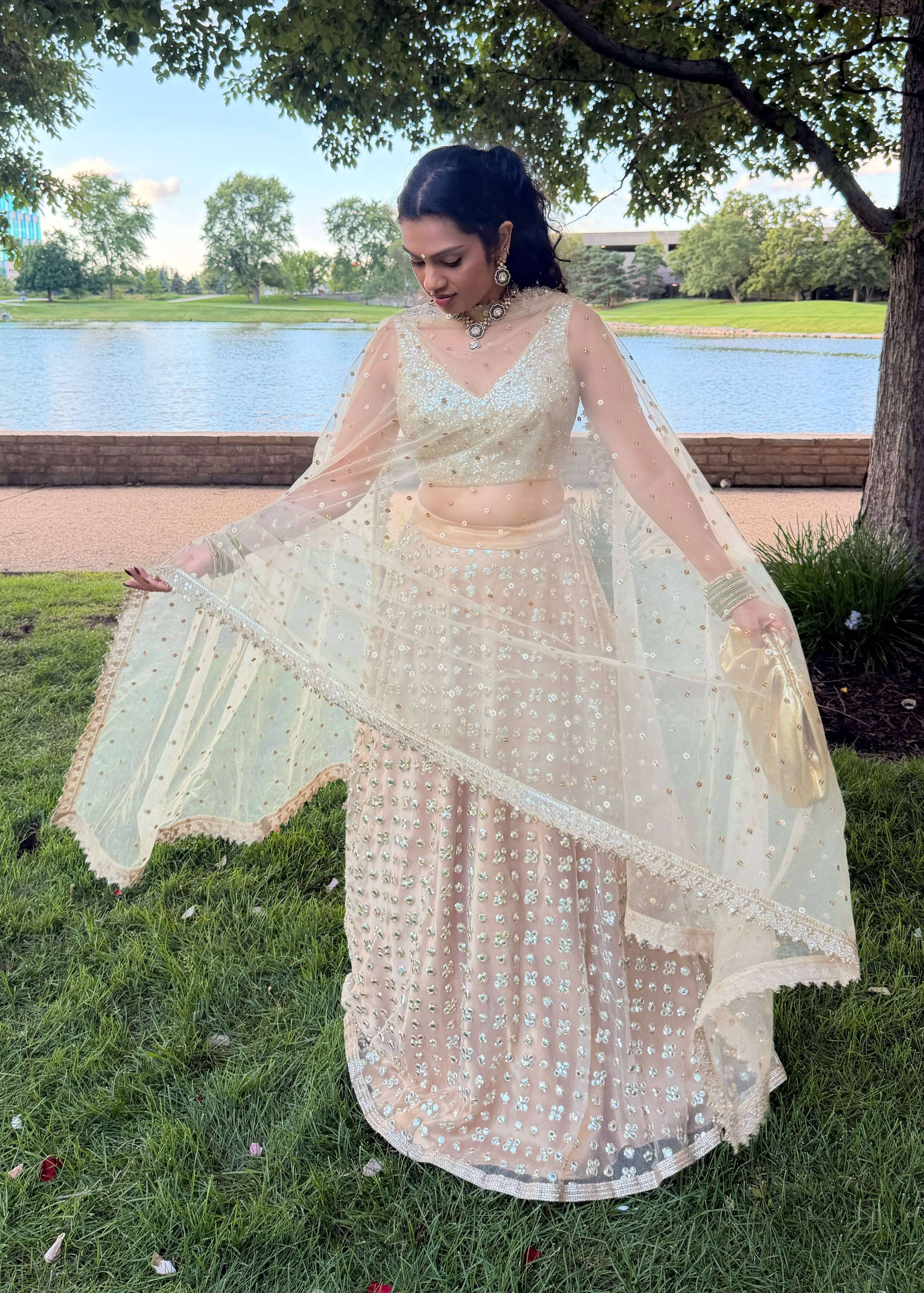 Nude Embellished Lehenga Image - 1