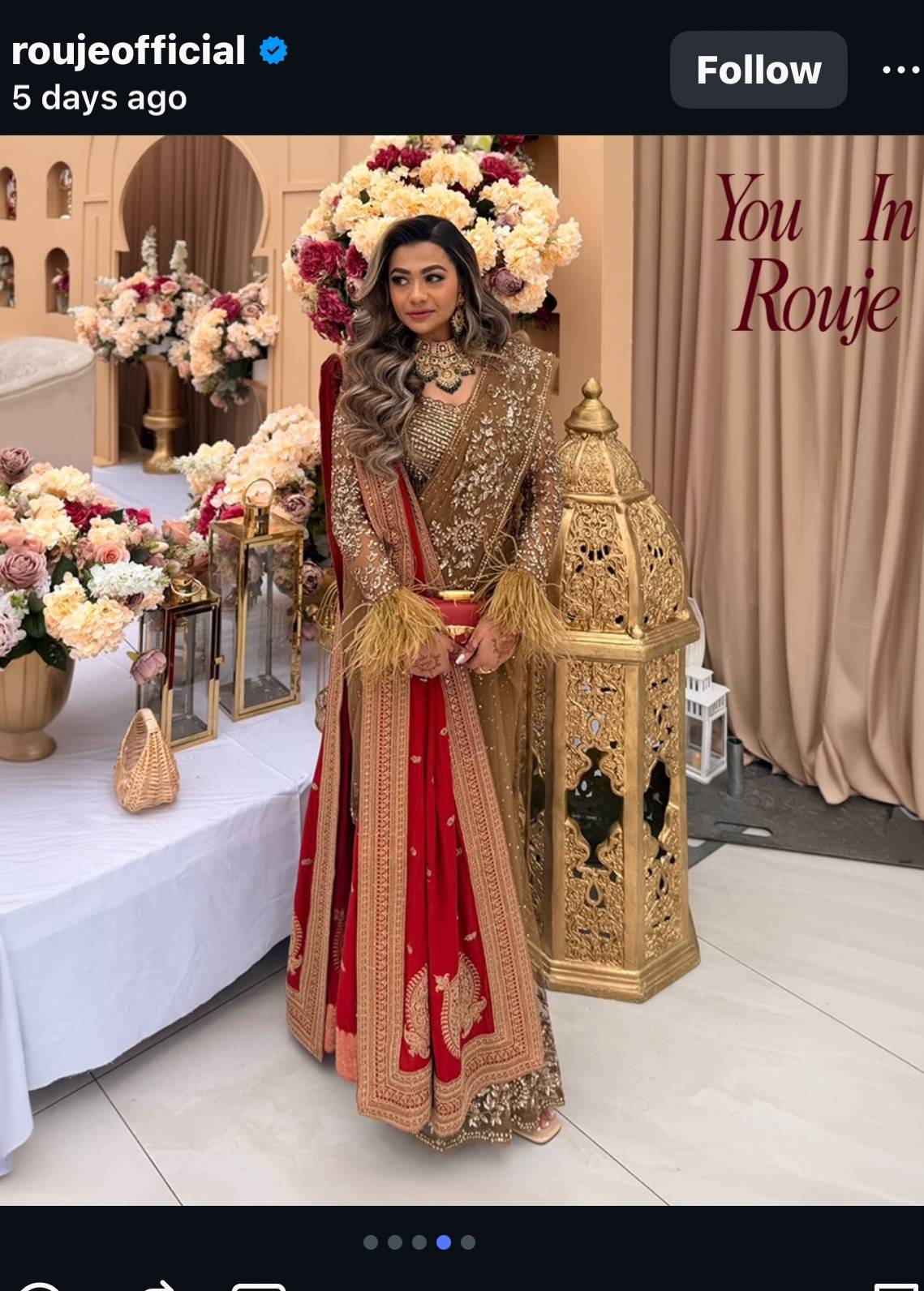 Bronze Pre-Draped Sari Image - 0