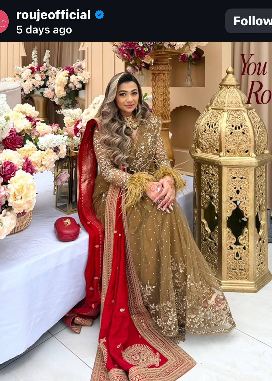 Bronze Pre-Draped Sari Image - 6