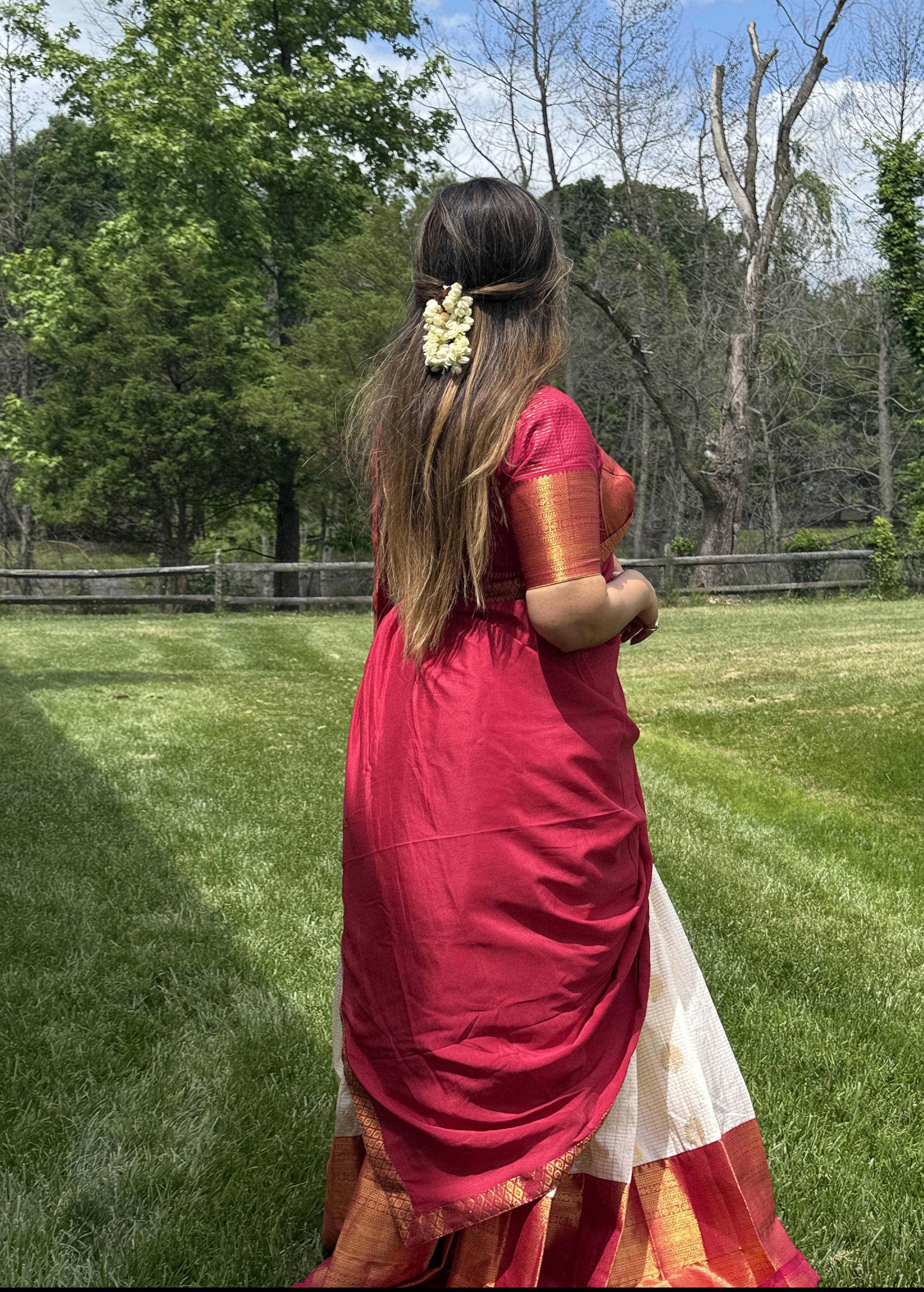 Red and White Sari Image - 1