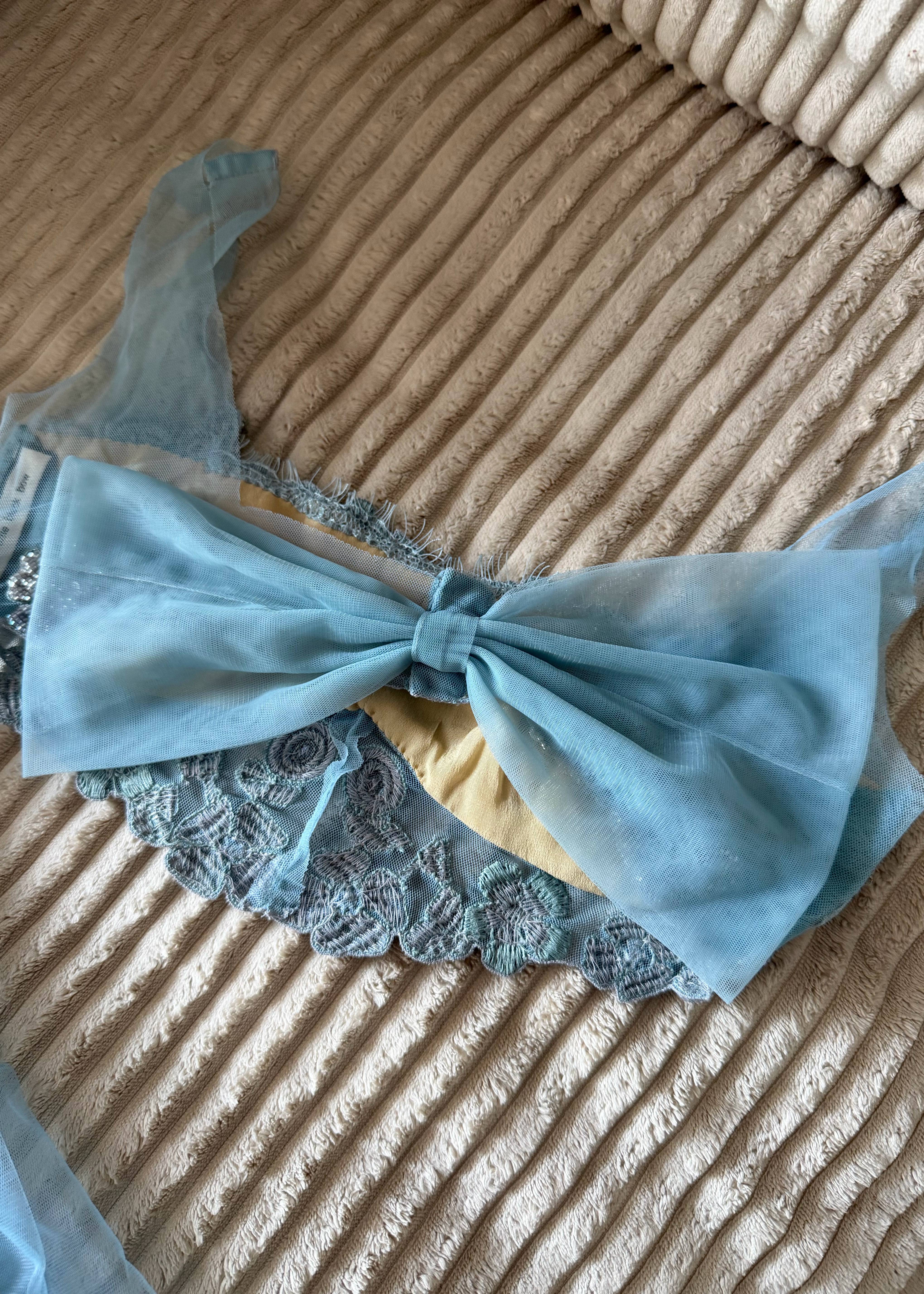 Blue Lace Sari Image - 6