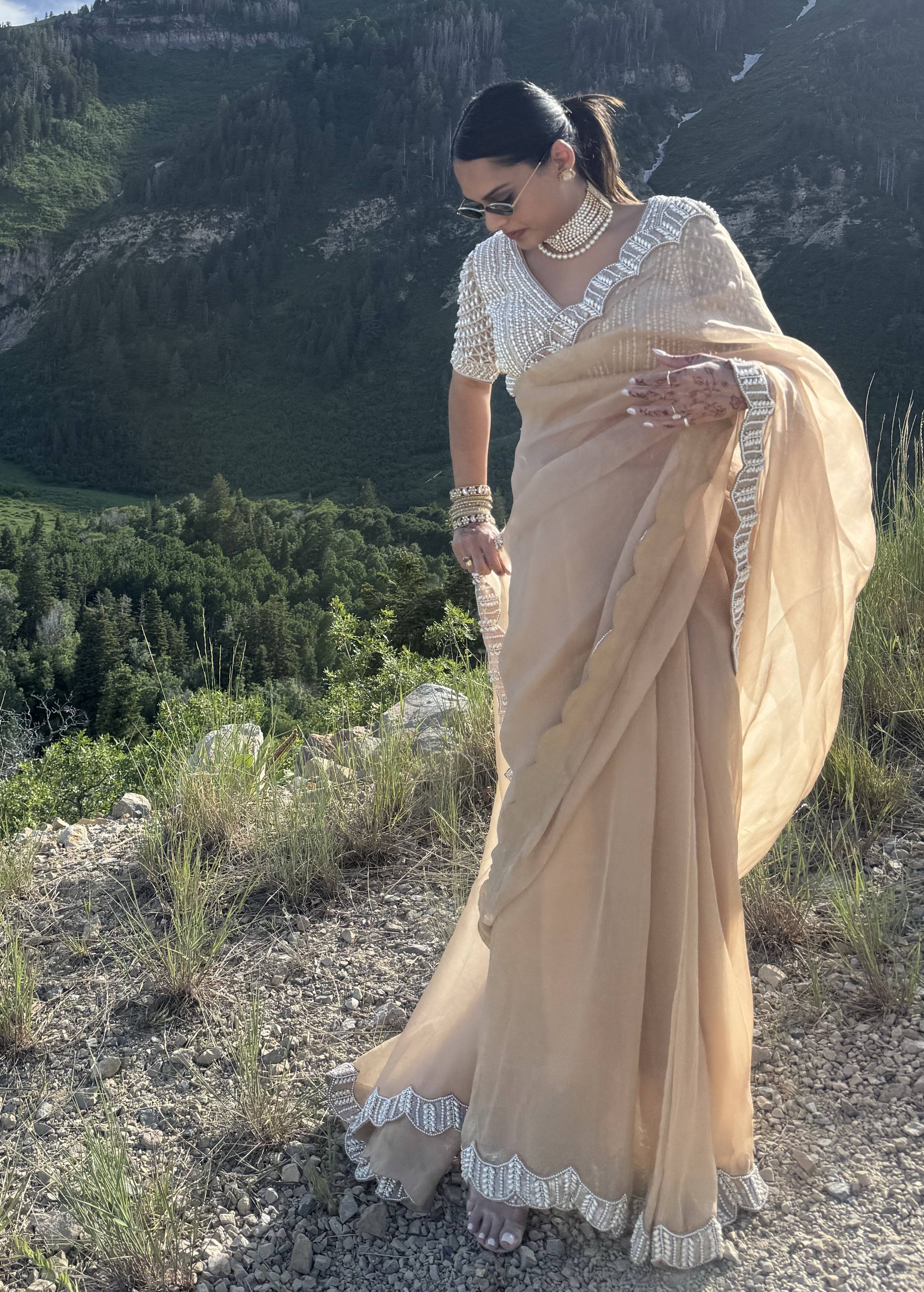 Nude Pearl Sari Image - 0
