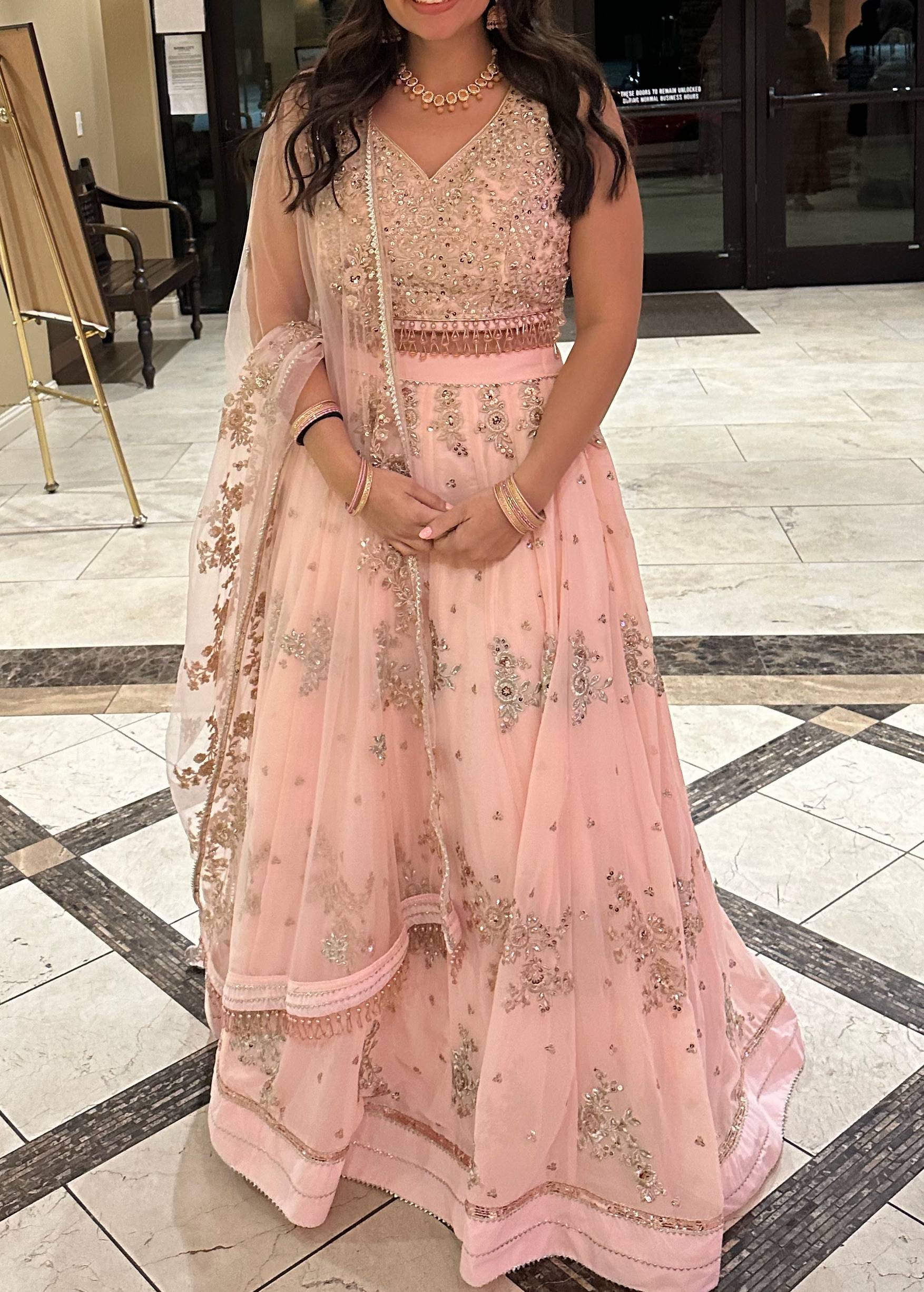 Blush Pink Embellished Lehenga Image - 0