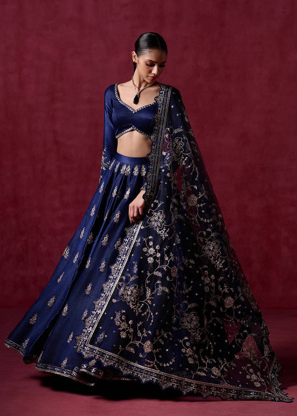 Navy Embroidered Lehenga Image - 2
