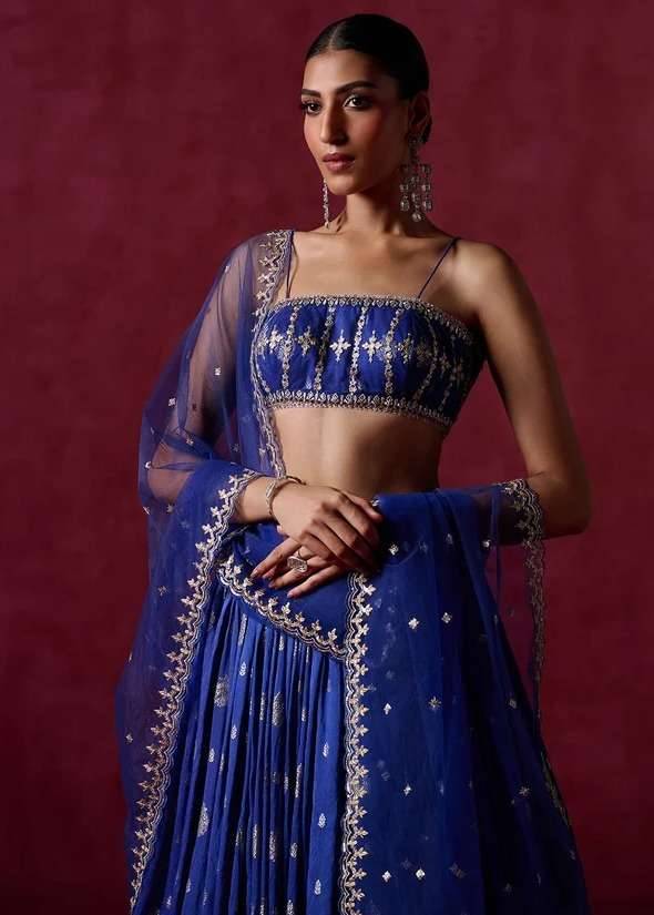 Royal Blue Embroidered Lehenga Image - 2