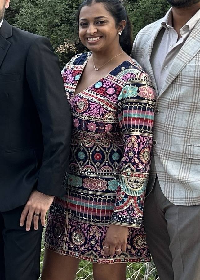 Multicolor Embroidered Dress Image - 1