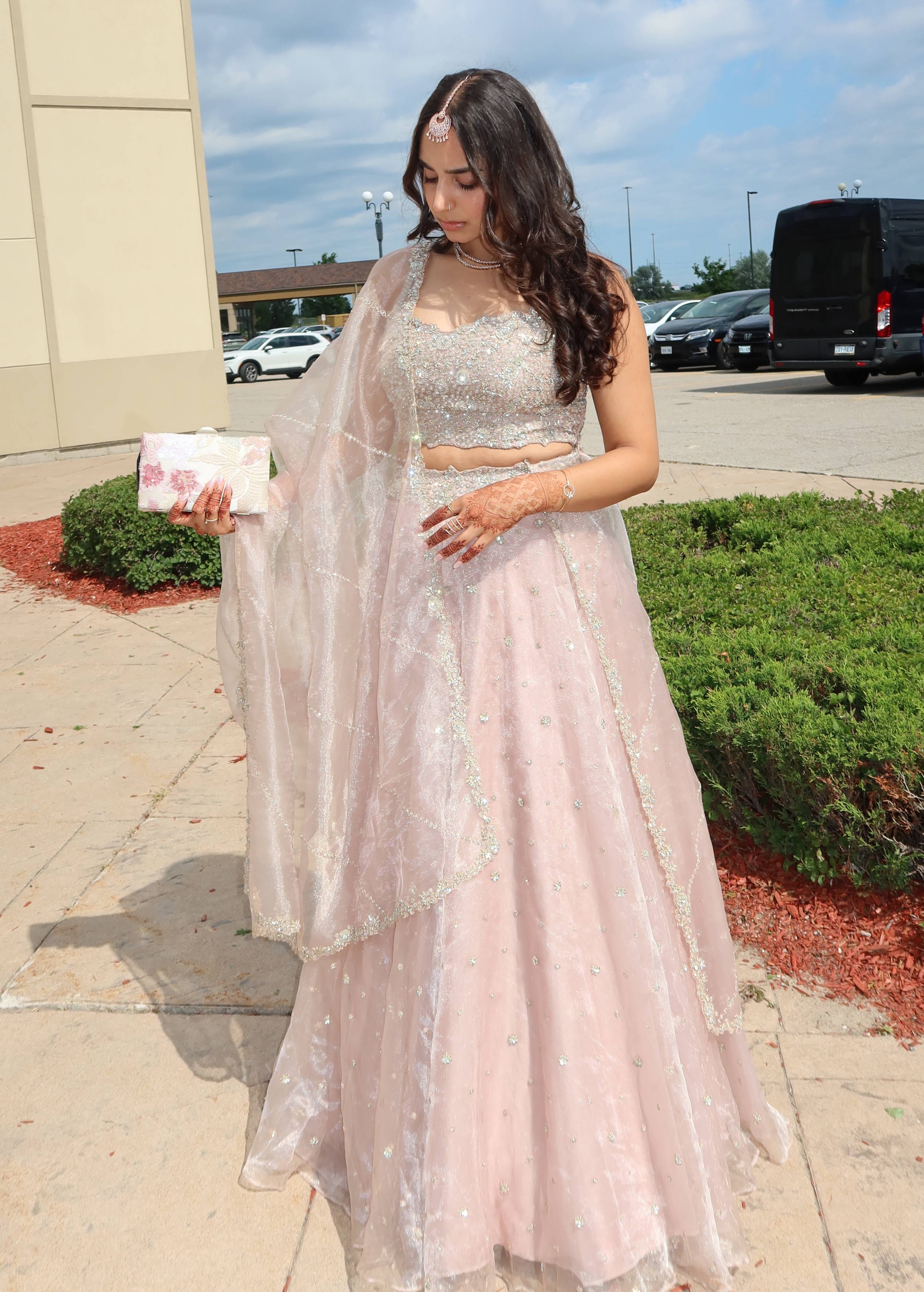 Pastel Pink Tulle Lehenga Image - 3