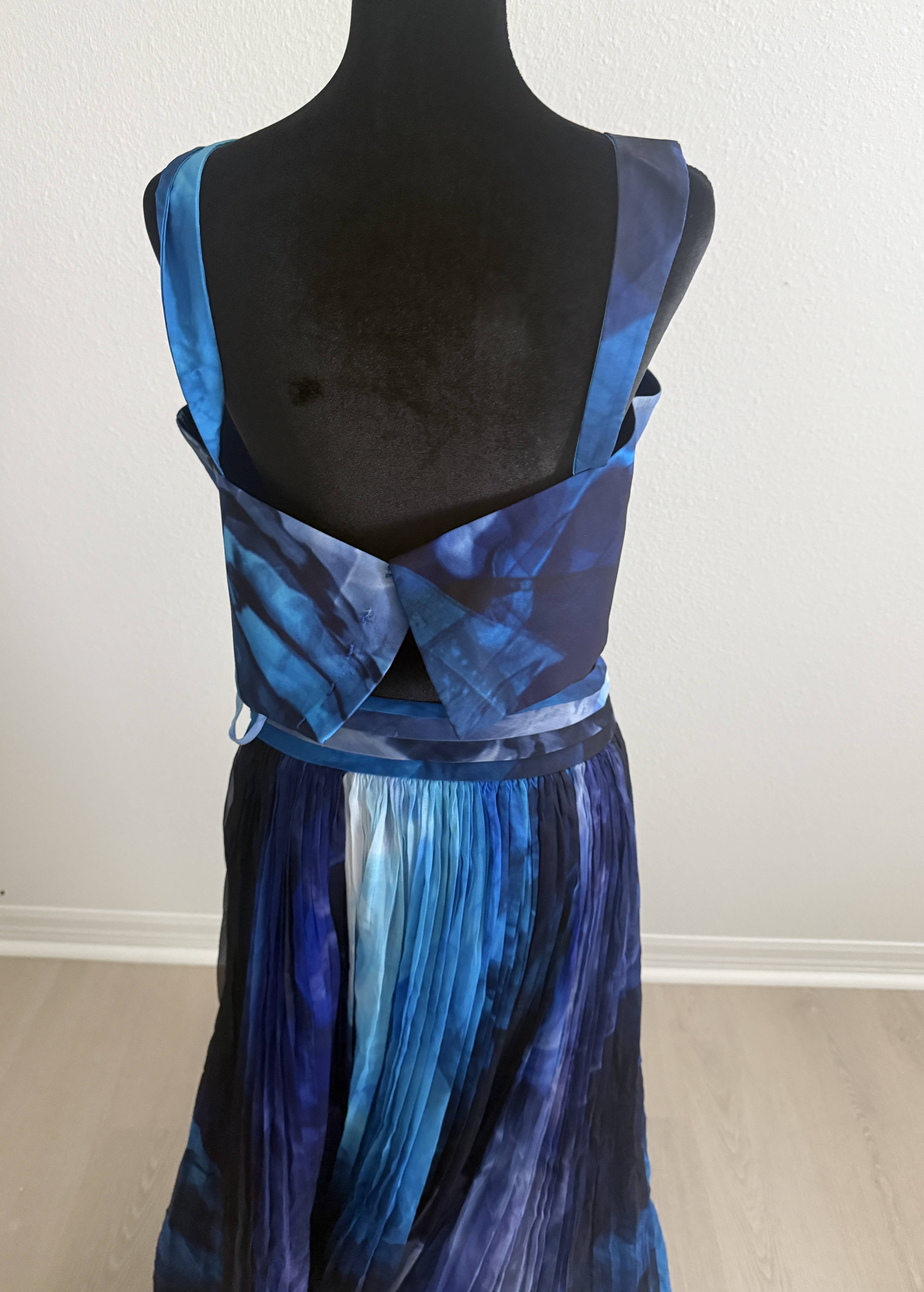 Blue Printed Skirt Set Image - 2