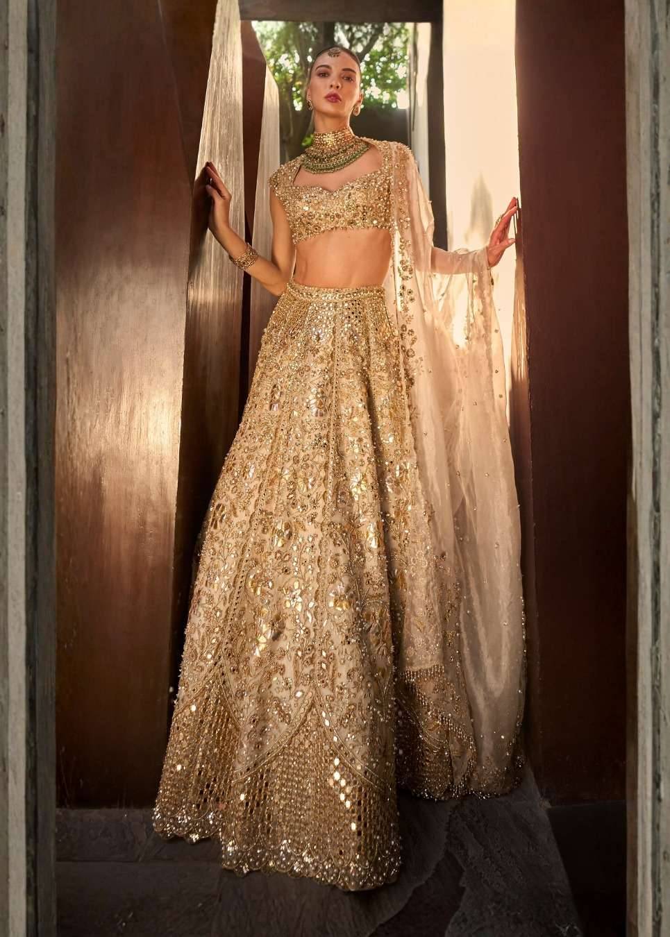 Silver Tissue Mirrorwork Lehenga Set Image - 3