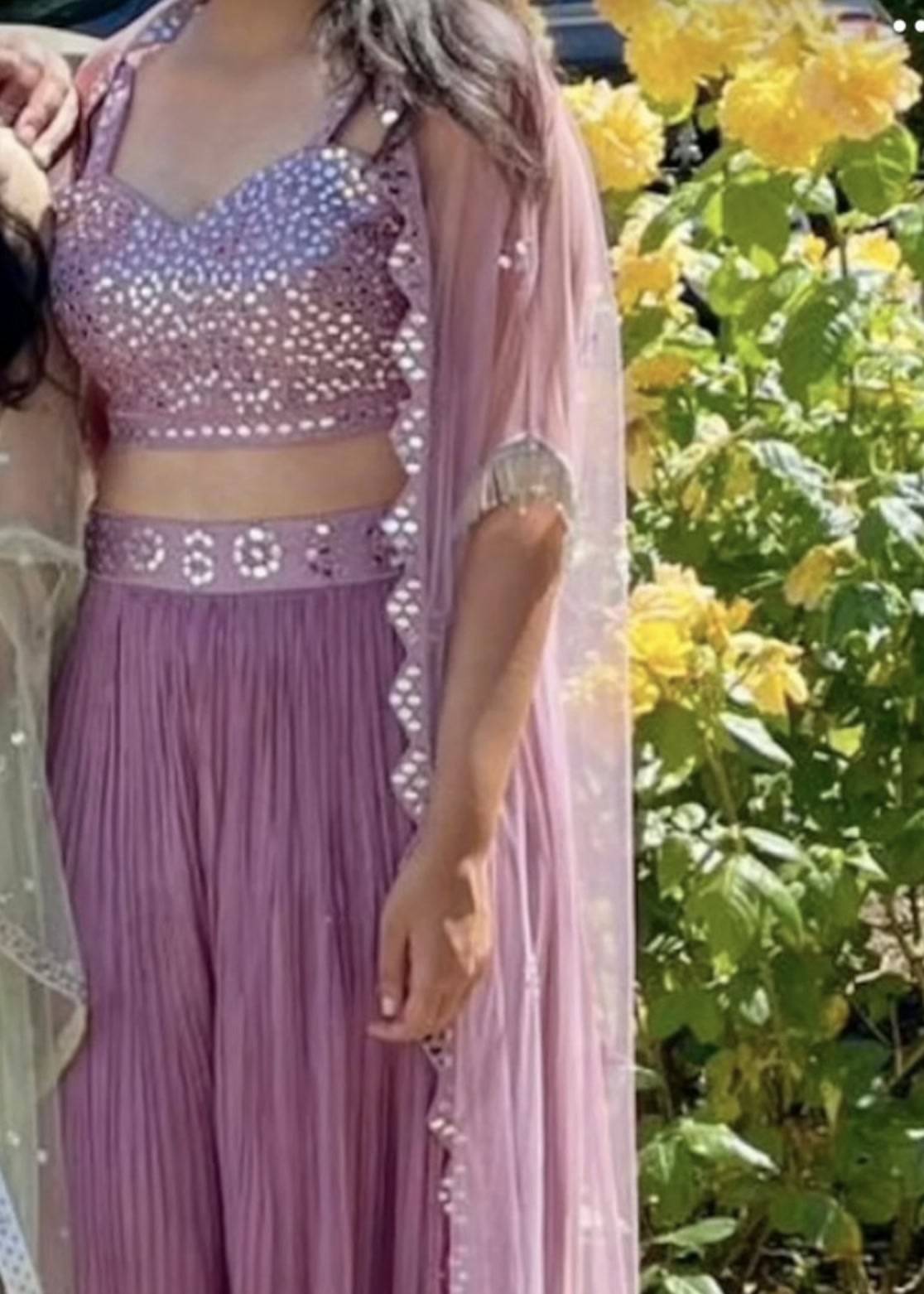 Dusty Pink Mirrorwork Sharara Set Image - 3