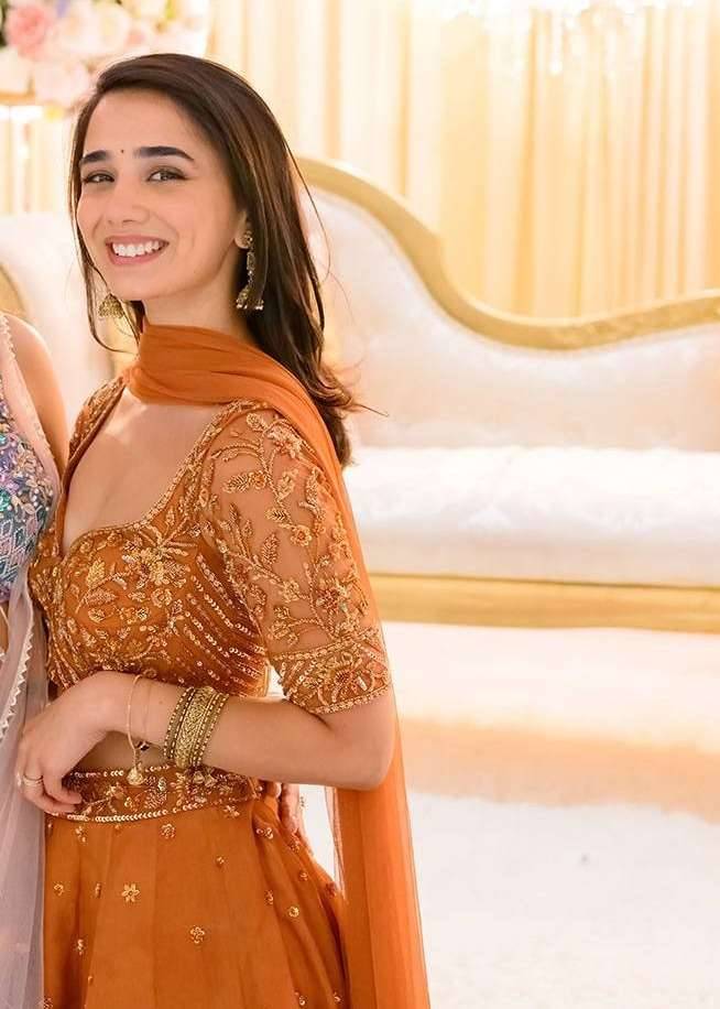 Rust Orange Organza Lehenga Set Image - 2