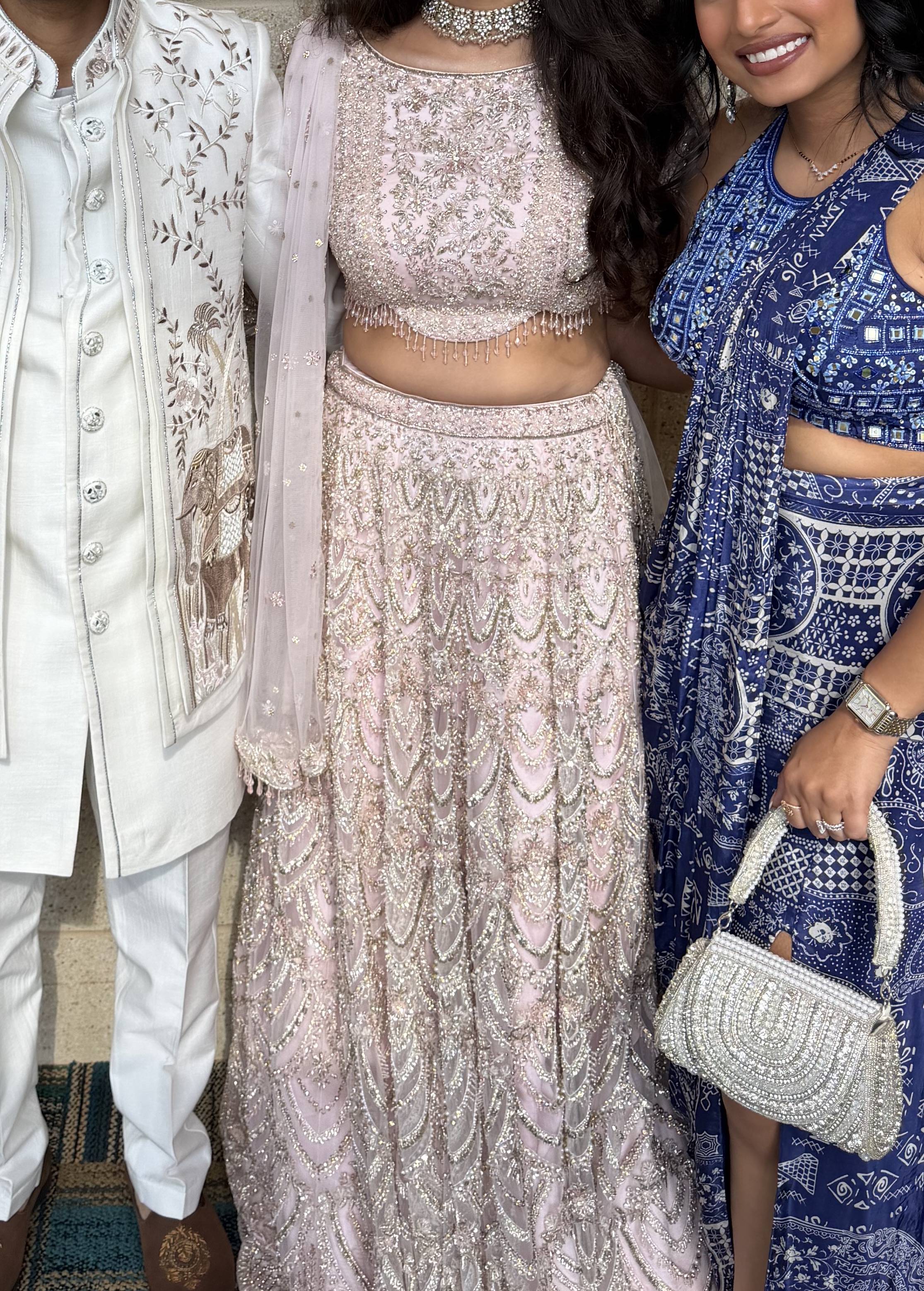 Blush Pink Beaded Lehenga Image - 3