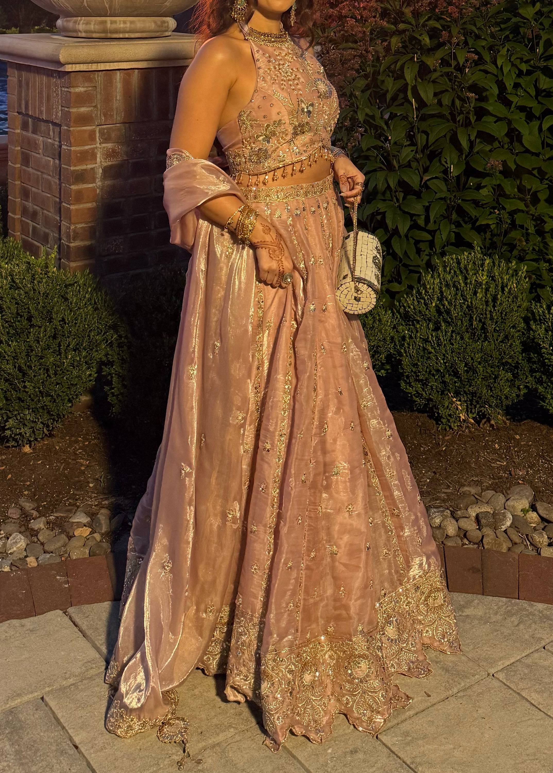 Blush Organza Sequin Lehenga Image - 0