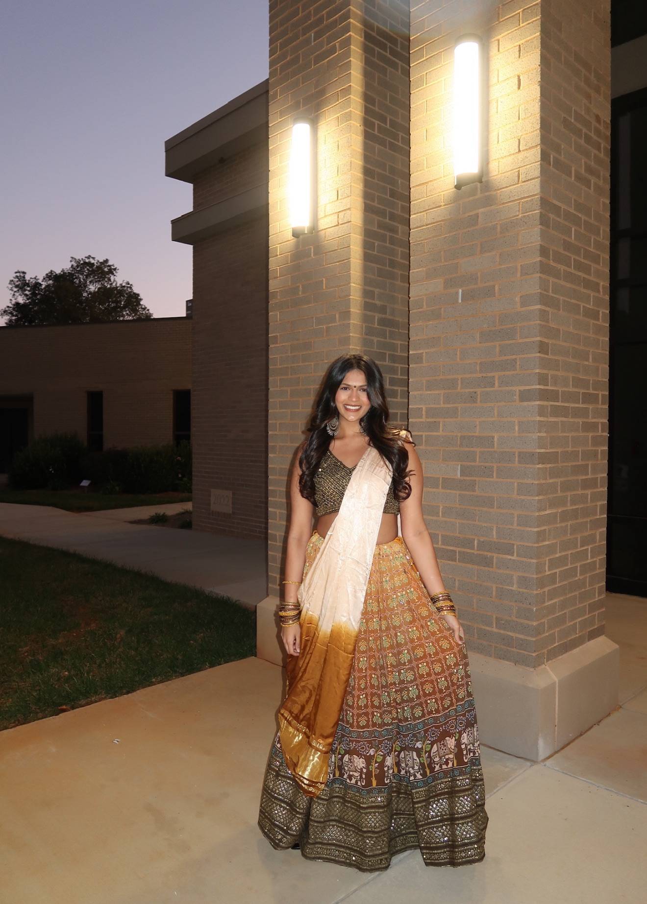 Brown Printed Mirrorwork Lehenga Image - 4