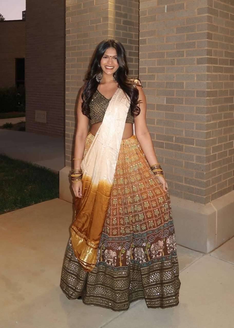 Brown Printed Mirrorwork Lehenga Image - 0