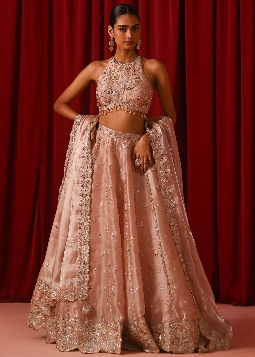 Blush Organza Sequin Lehenga Image - 2