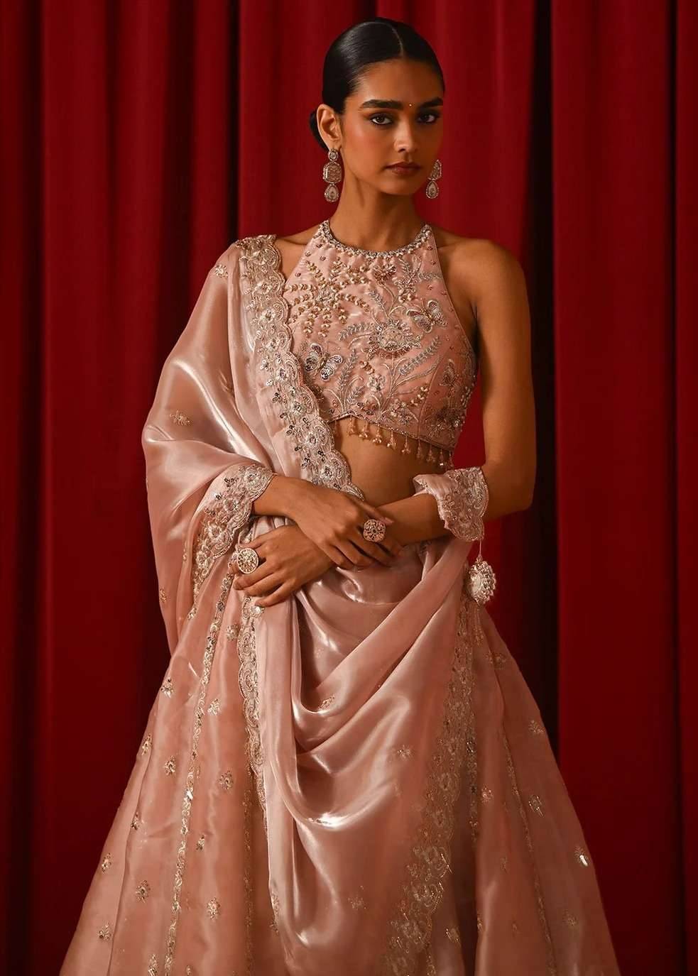 Blush Organza Sequin Lehenga Image - 3