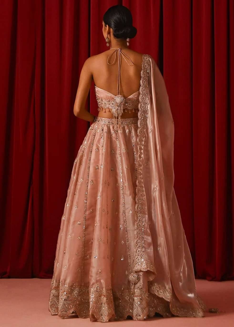 Blush Organza Sequin Lehenga Image - 4
