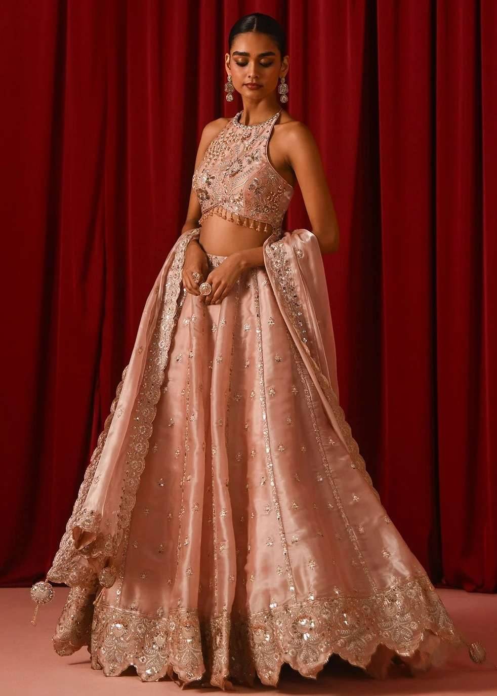 Blush Organza Sequin Lehenga Image - 5