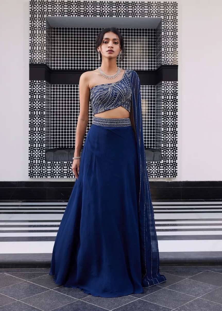 Navy Blue Embellished Lehenga Image - 0