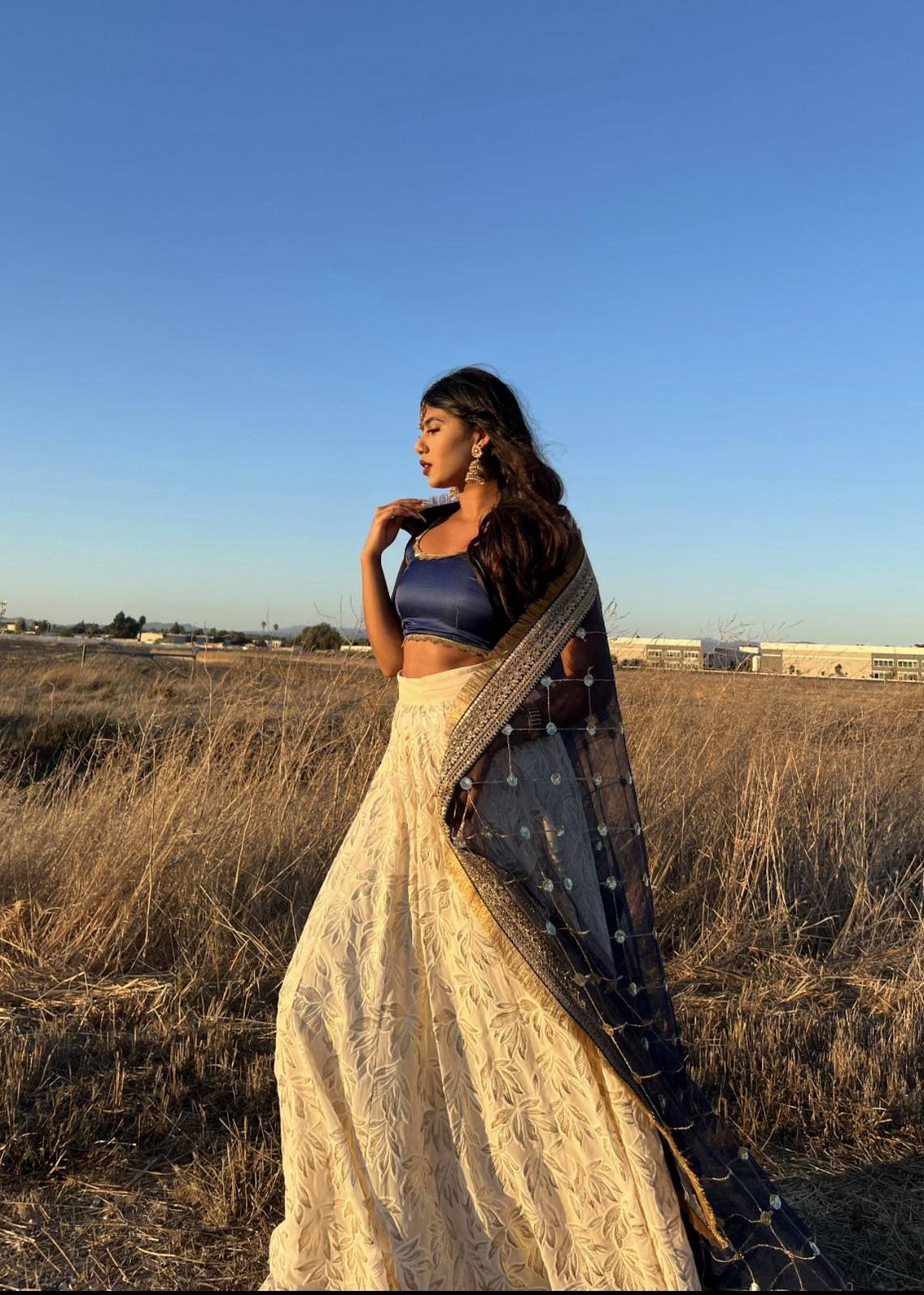 Ivory and Navy Embroidered Lehenga Image - 2