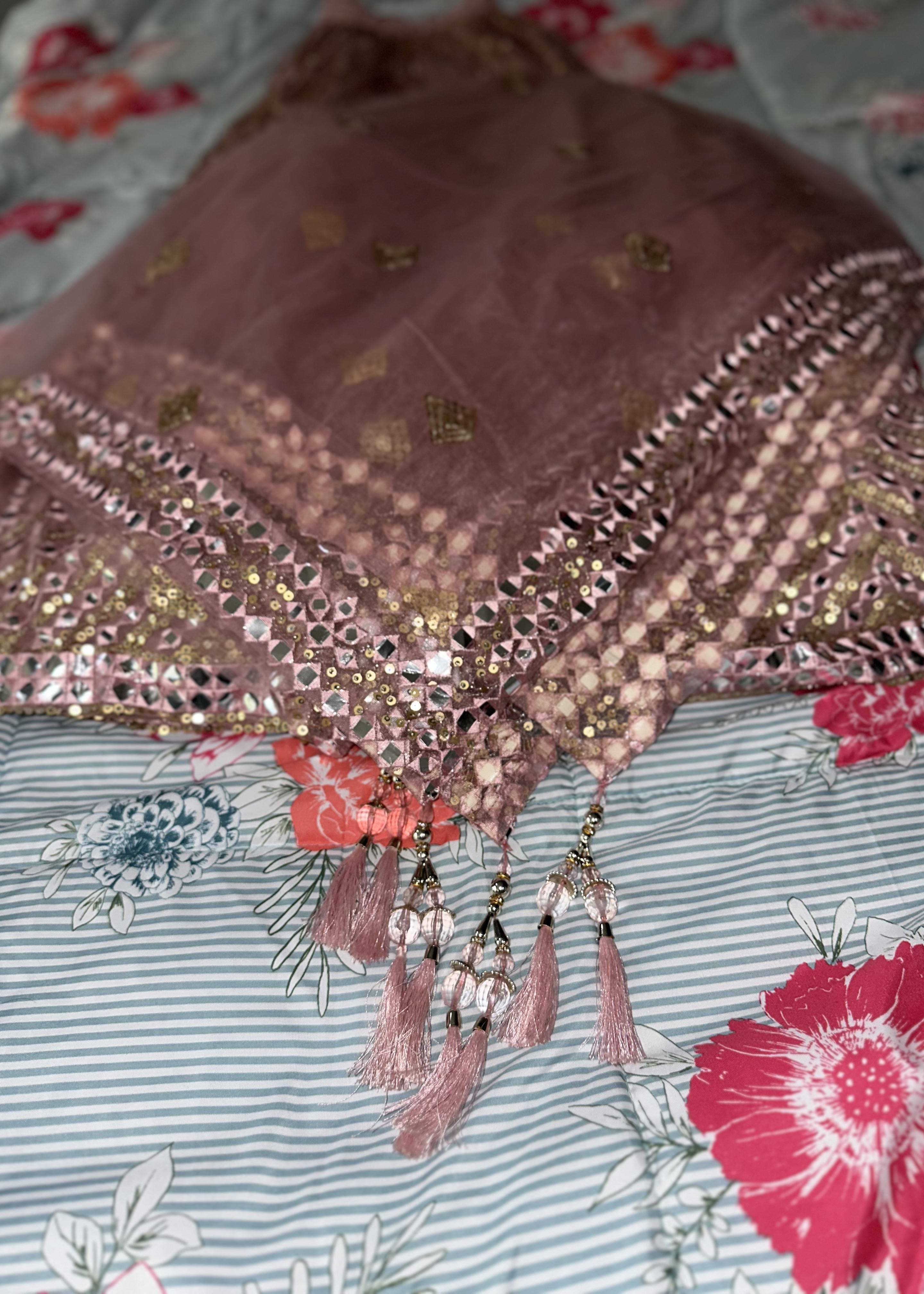 Dusty Pink Mirrorwork Lehenga Image - 7