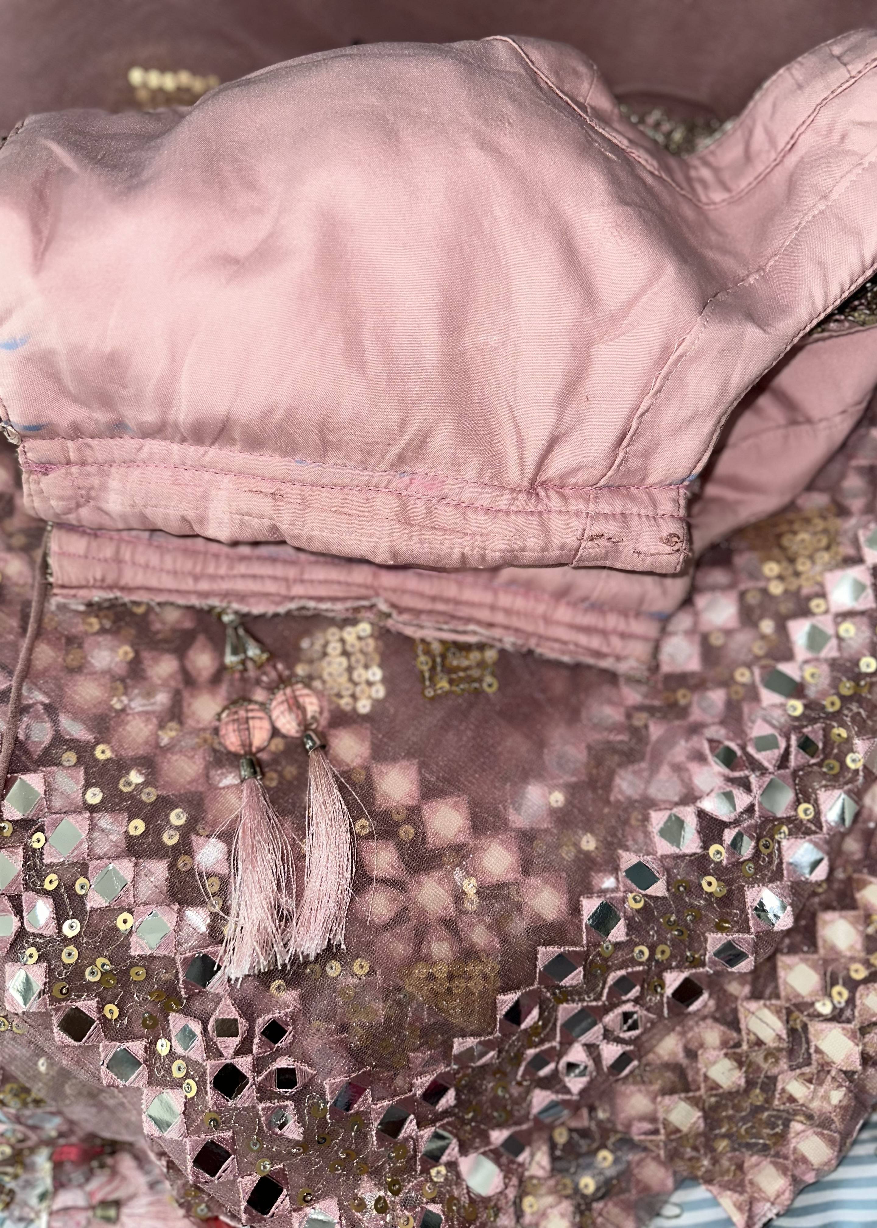 Dusty Pink Mirrorwork Lehenga Image - 6