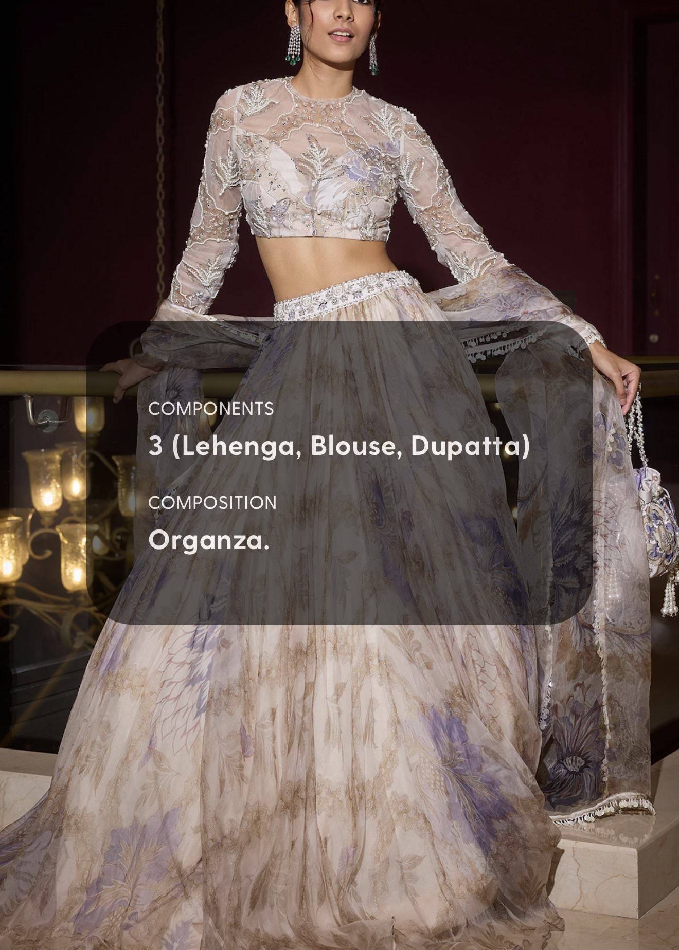 Zainab Lehenga Image - 4