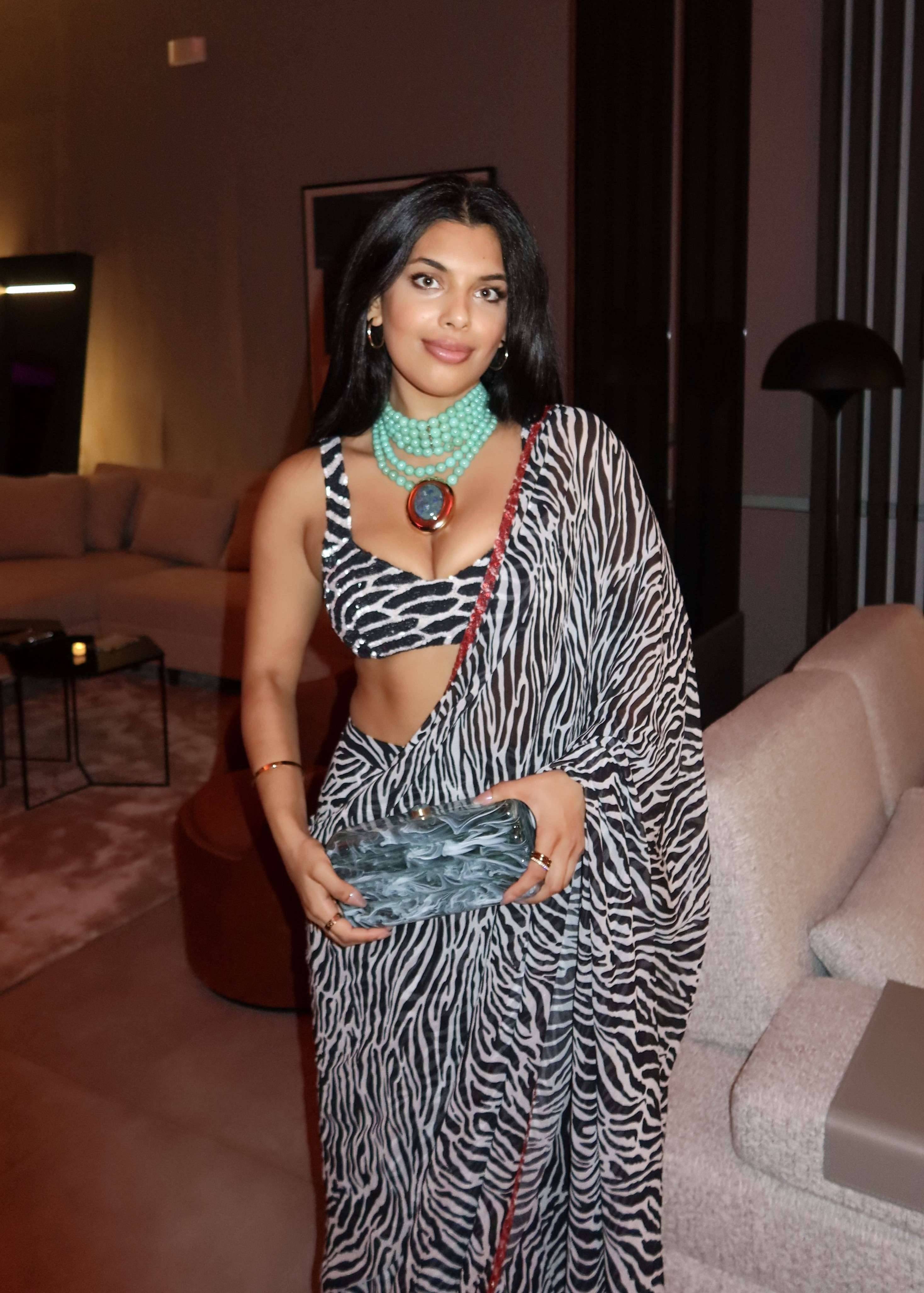 Black and White Zebra Print Sari Image - 0
