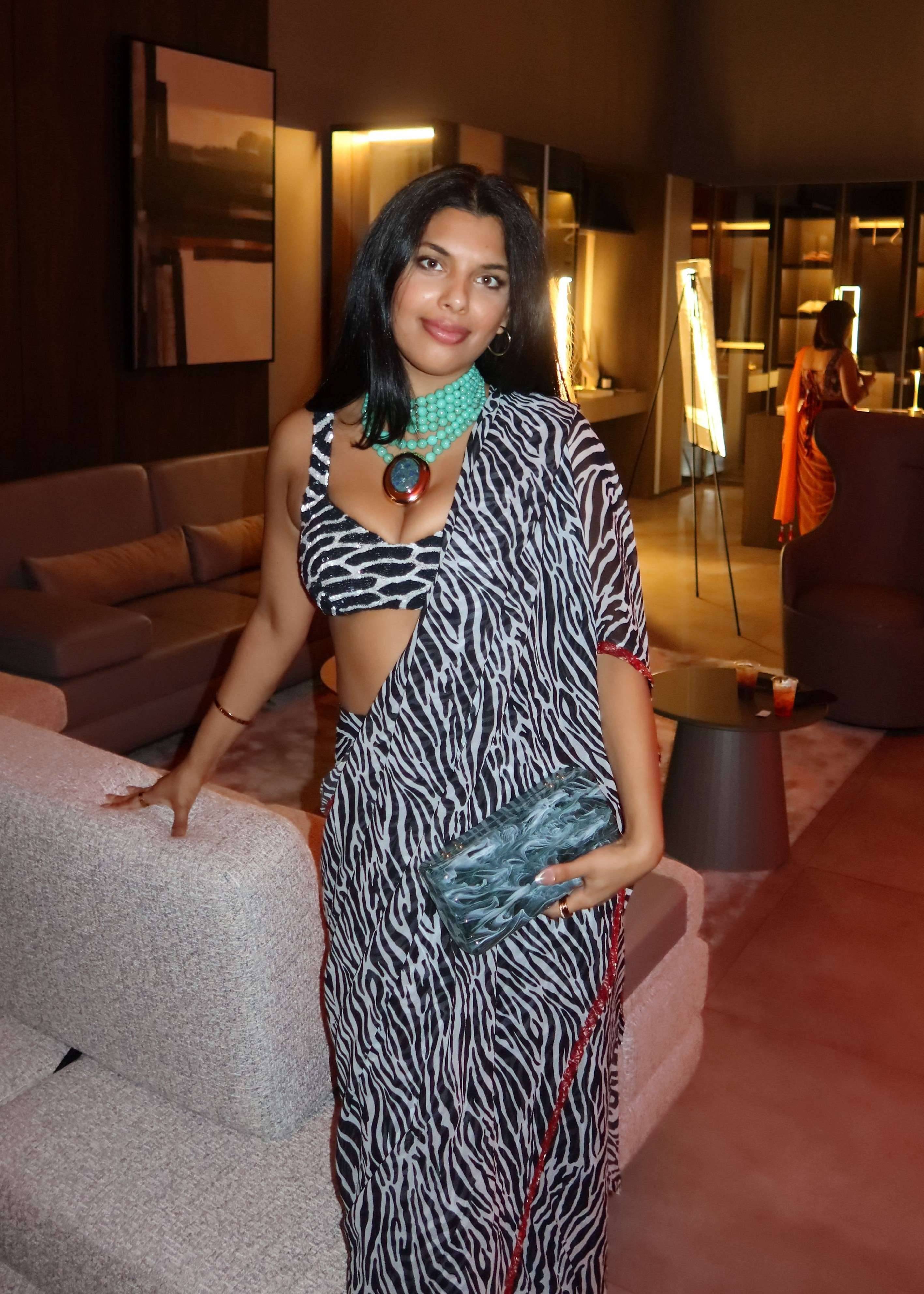 Black and White Zebra Print Sari Image - 3