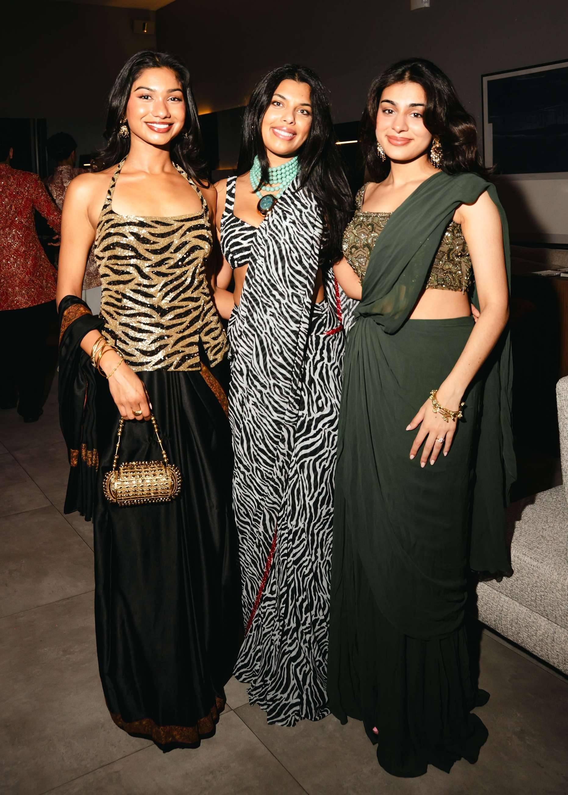 Black and White Zebra Print Sari Image - 1