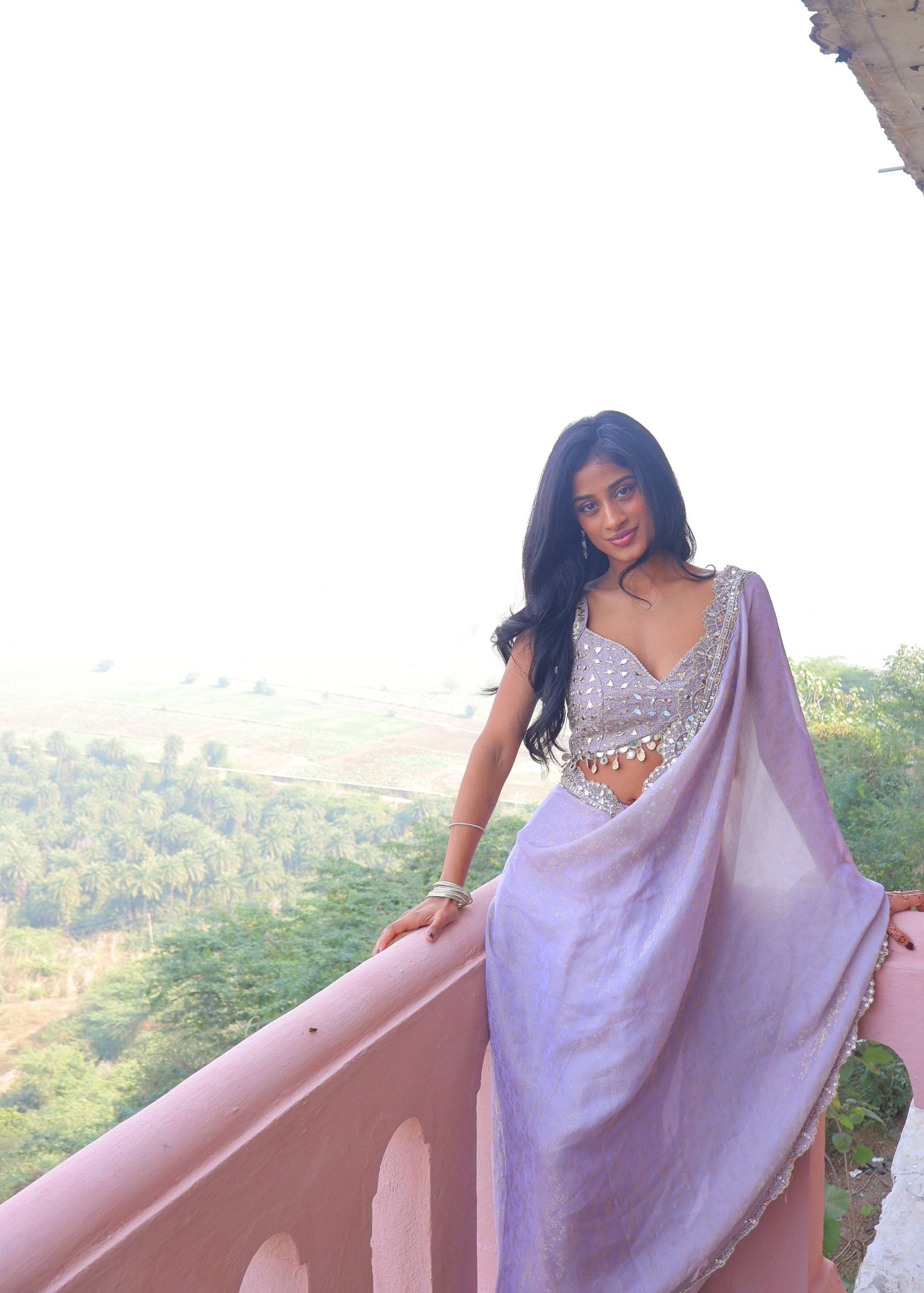 Lilac Mirror Work Sari with Embellished Border Image - 1