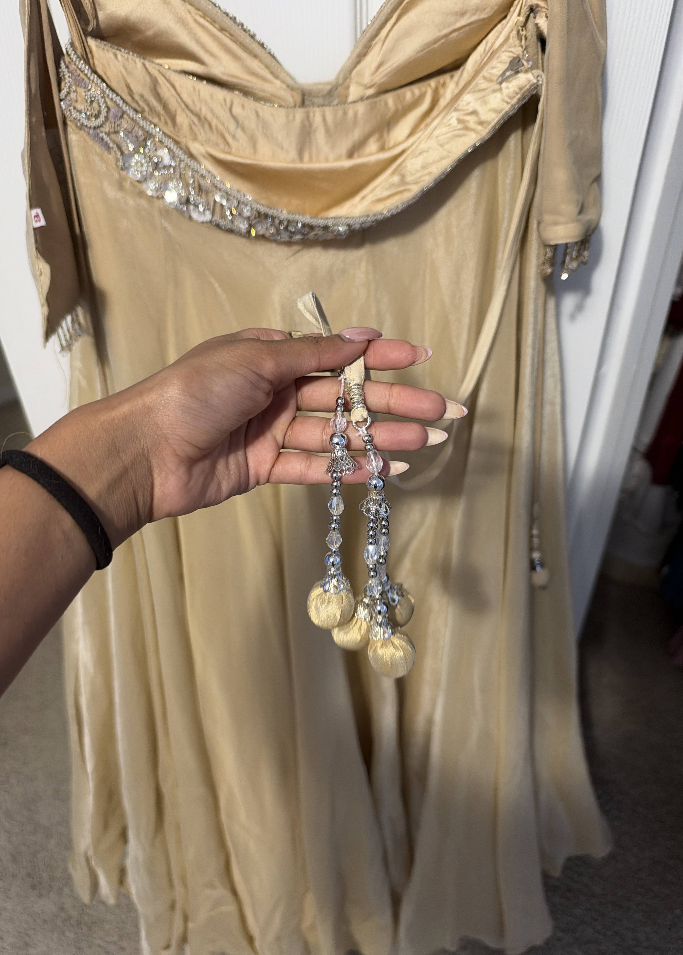 Champagne Embellished Lehenga Image - 5