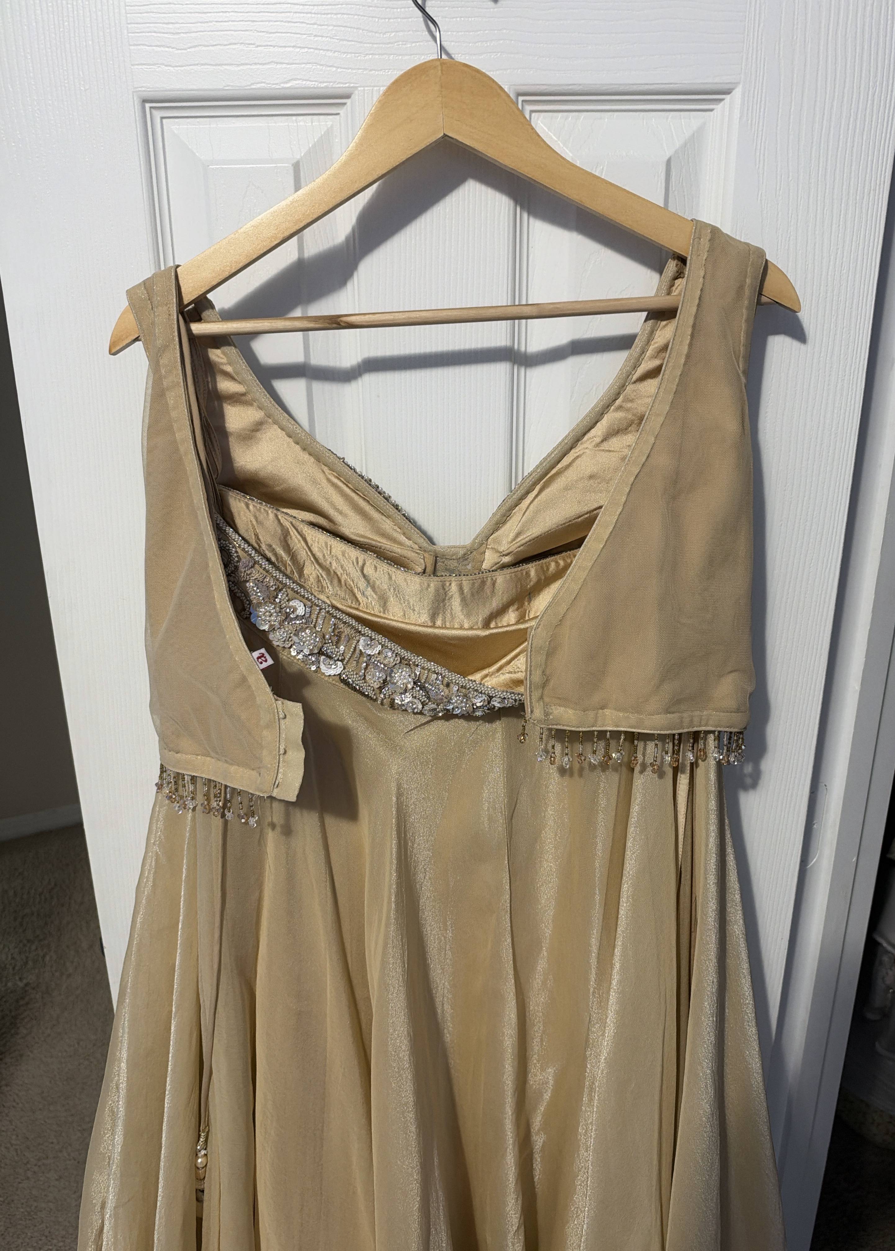 Champagne Embellished Lehenga Image - 3