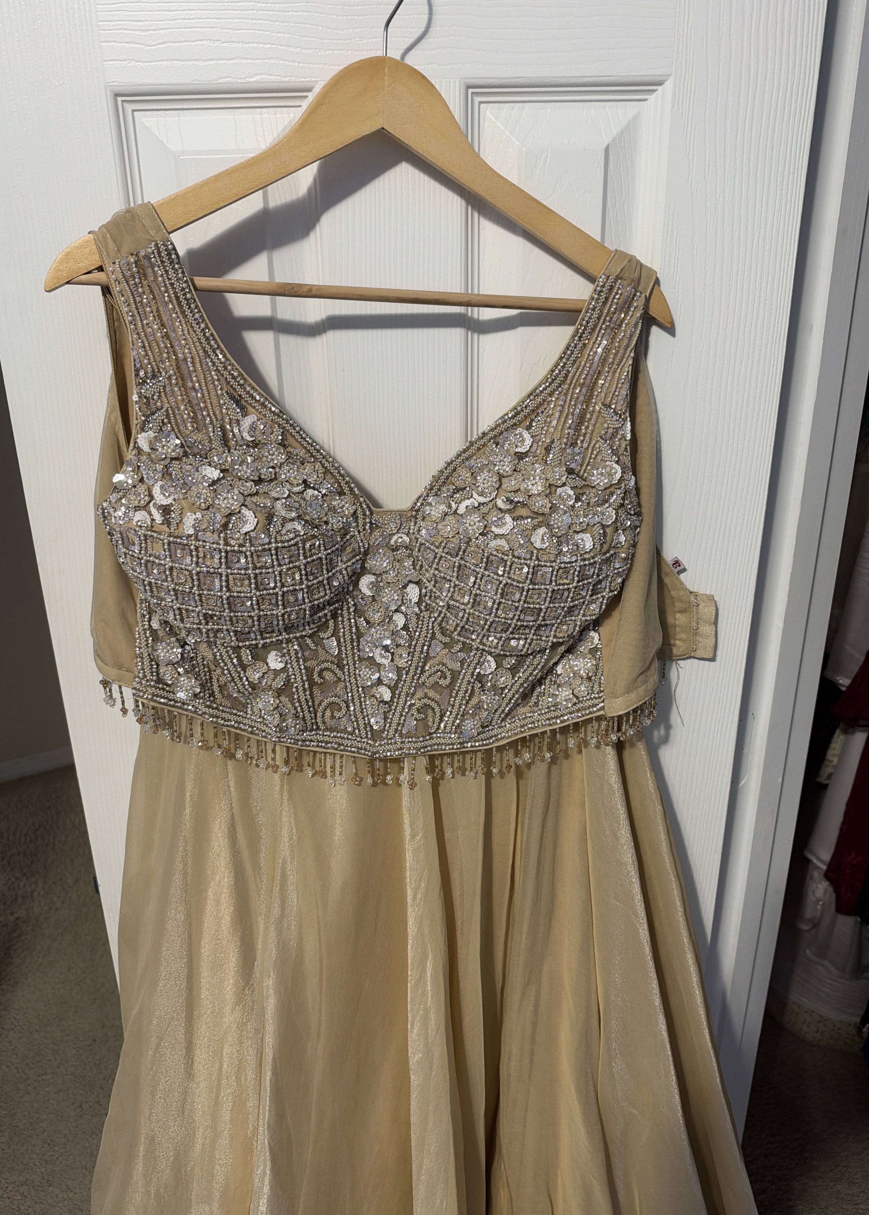 Champagne Embellished Lehenga Image - 7