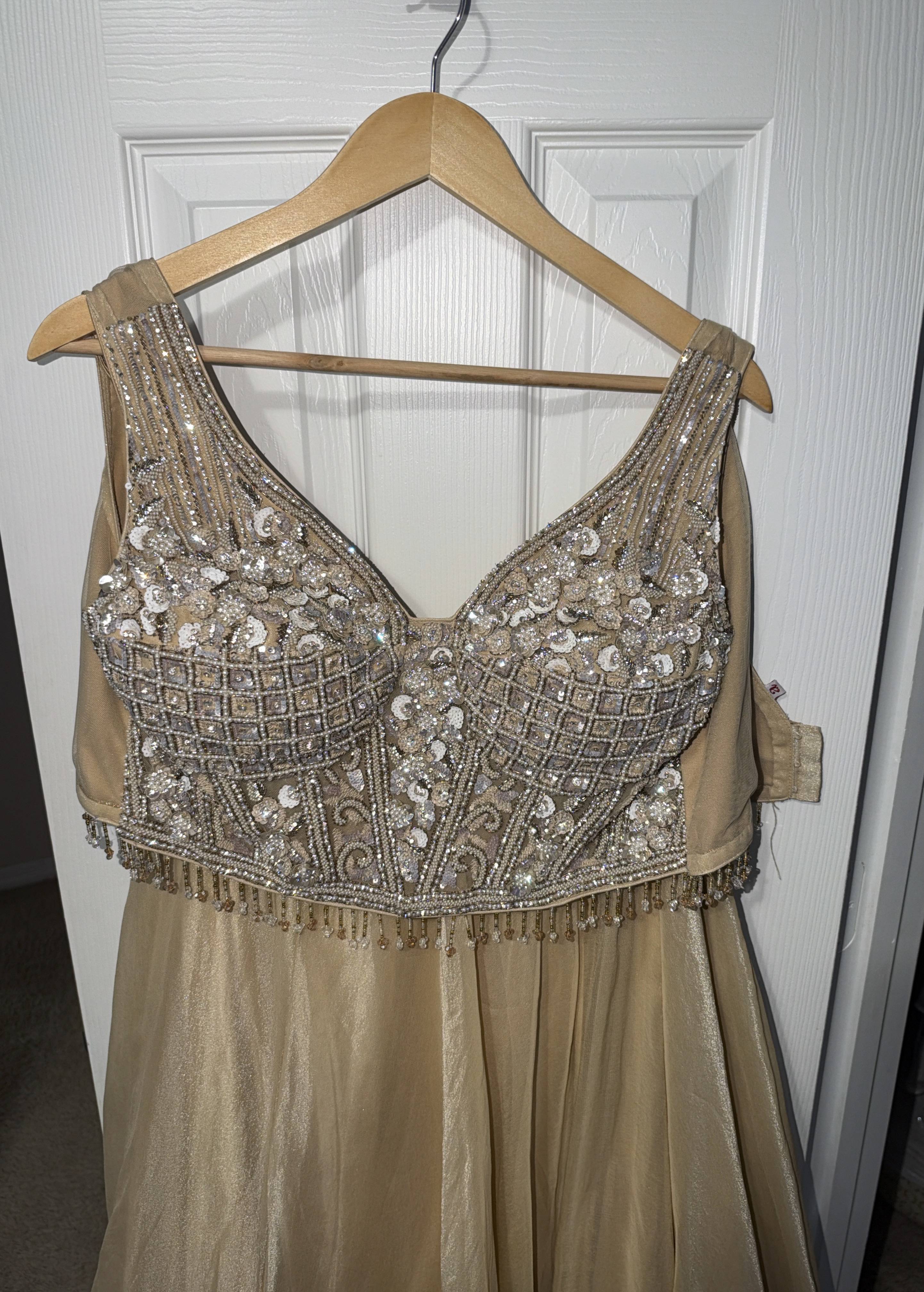 Champagne Embellished Lehenga Image - 8