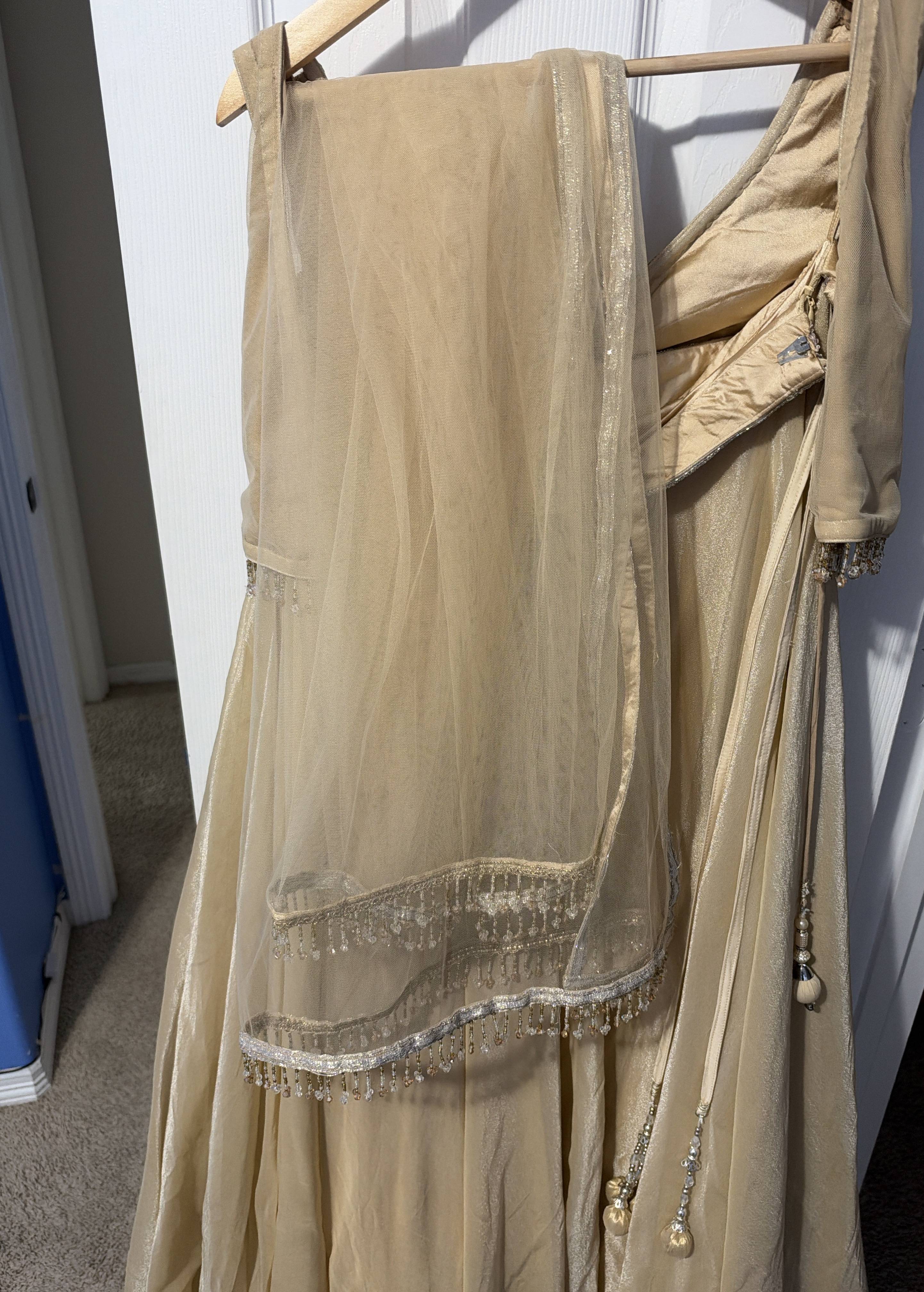 Champagne Embellished Lehenga Image - 6