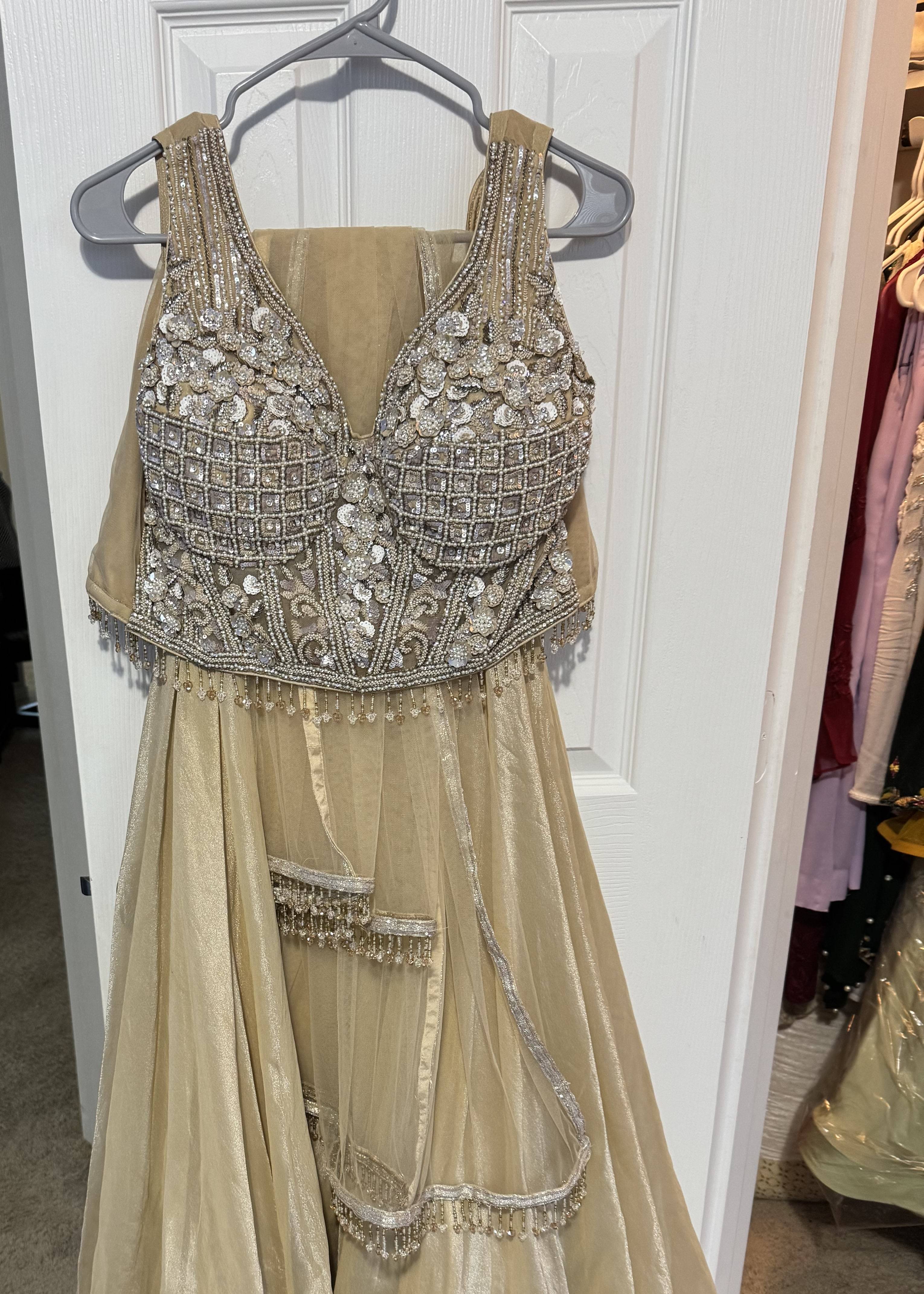 Champagne Embellished Lehenga Image - 1