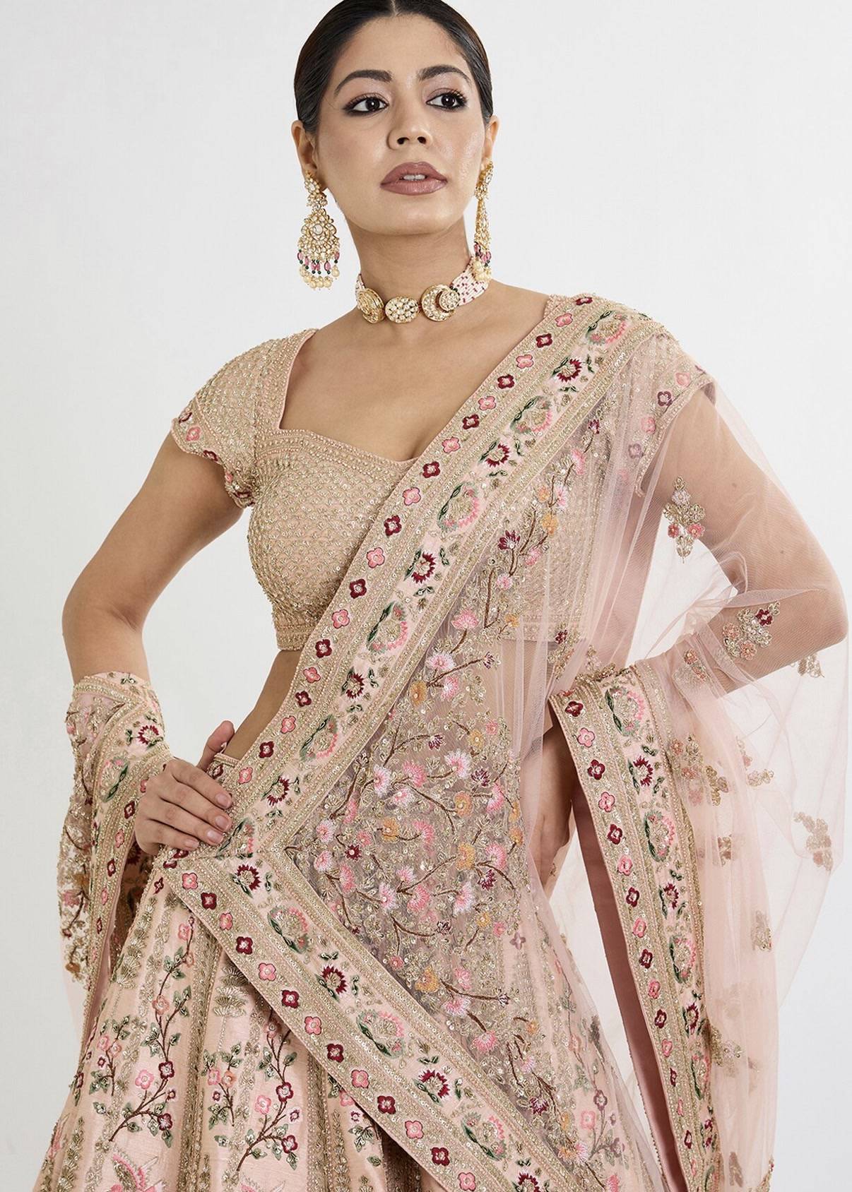 Blush Pink Embroidered Lehenga Image - 2