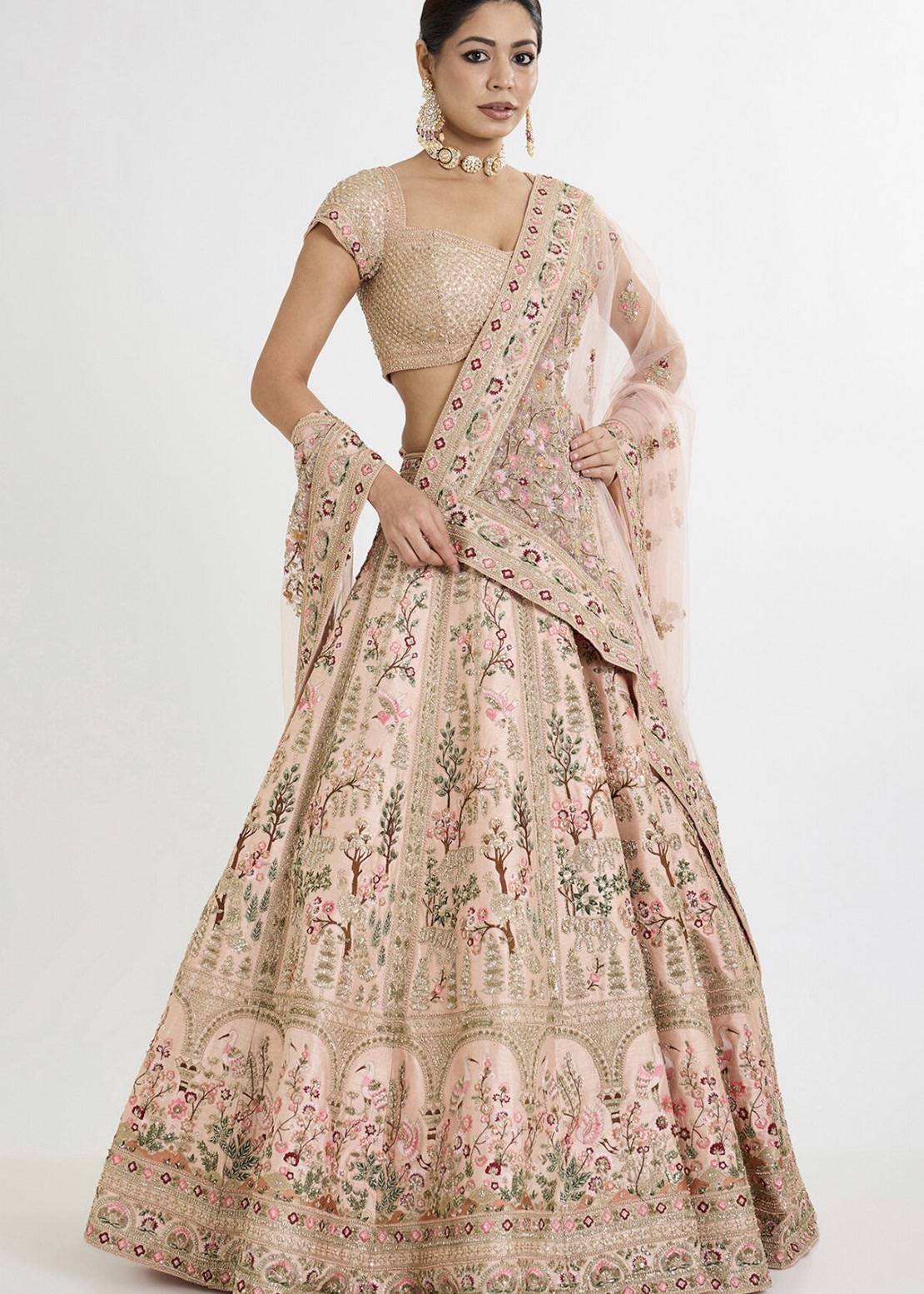 Blush Pink Embroidered Lehenga Image - 0