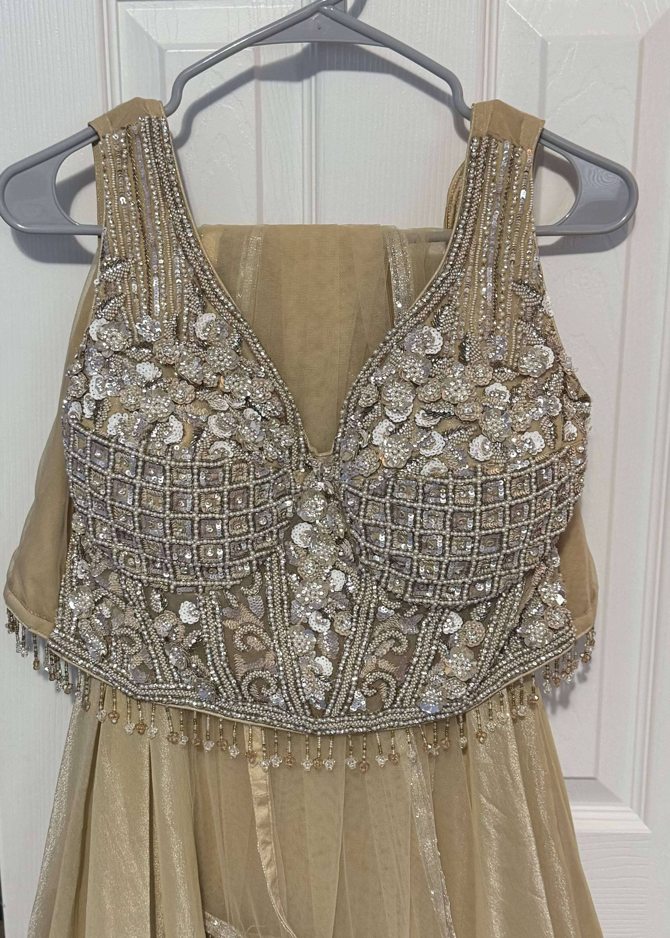 Champagne Embellished Lehenga Image - 2